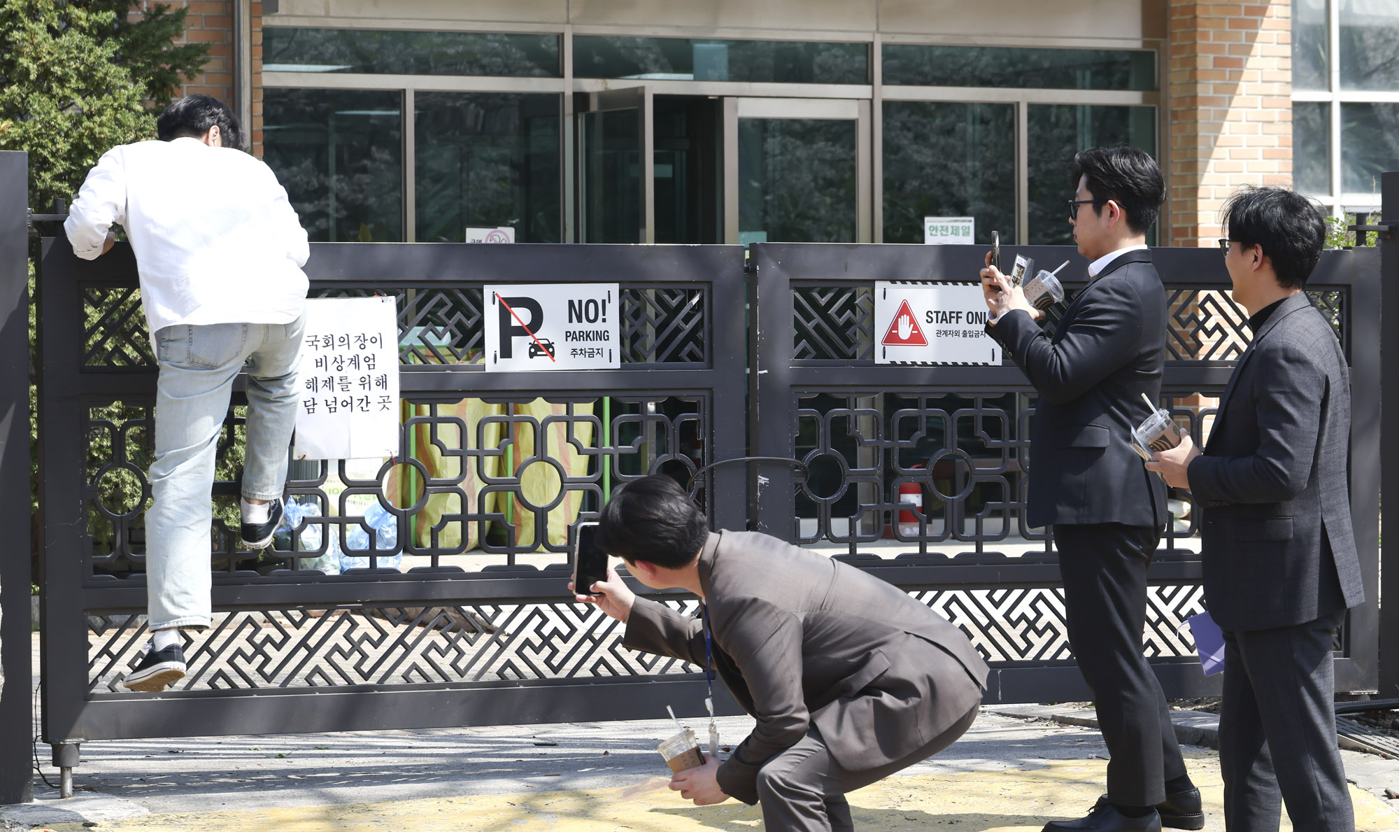 여의도;여의도벚꽃