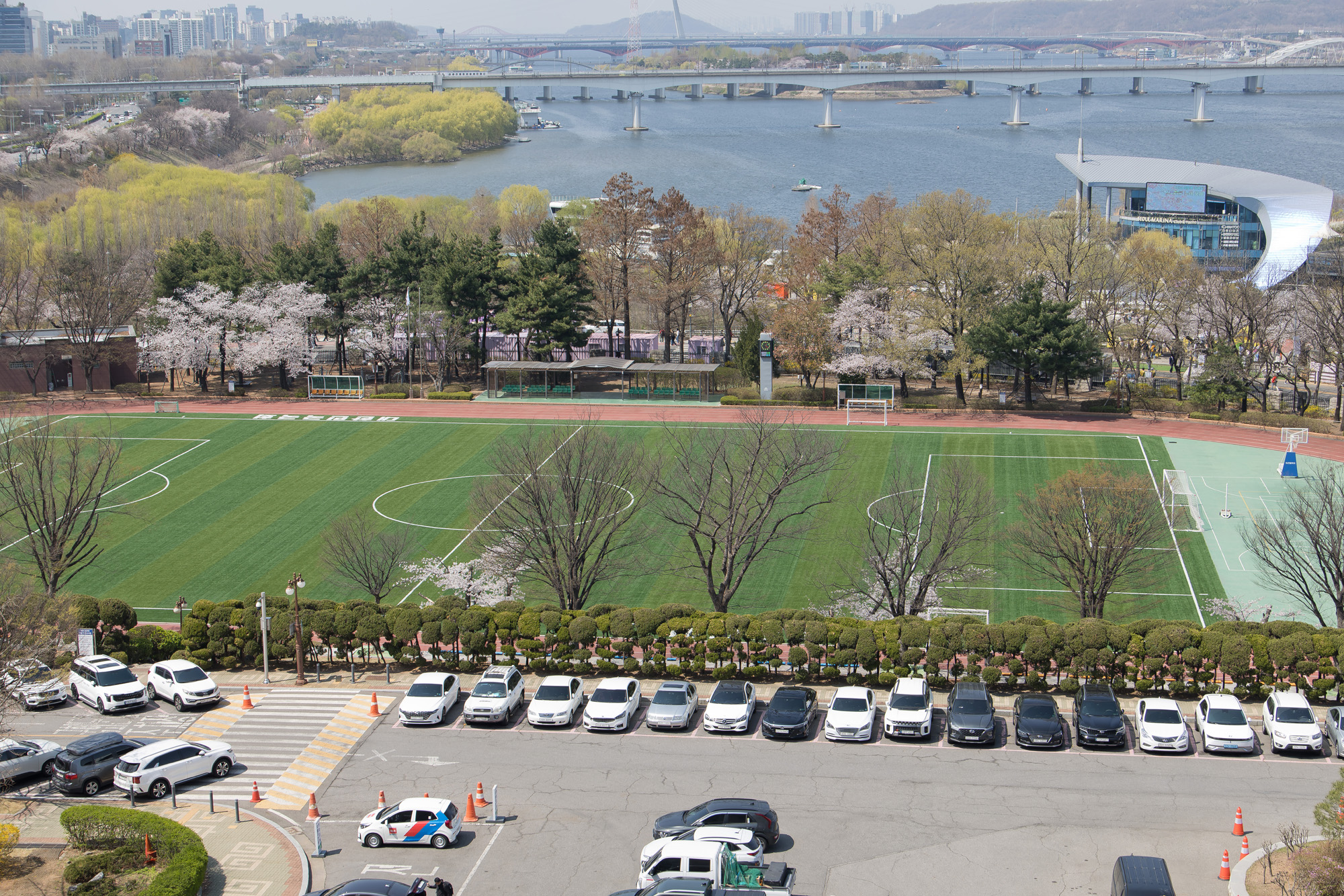 정치;사회;벚꽃;국회