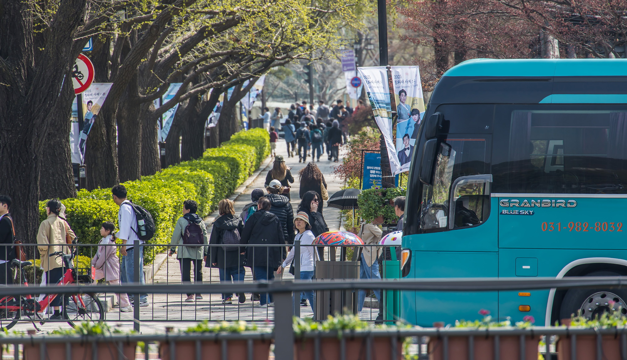 사회;정부;청와대;대통령관저;차기대통령청와대;청와대관람객;청와대관광;청와대개방