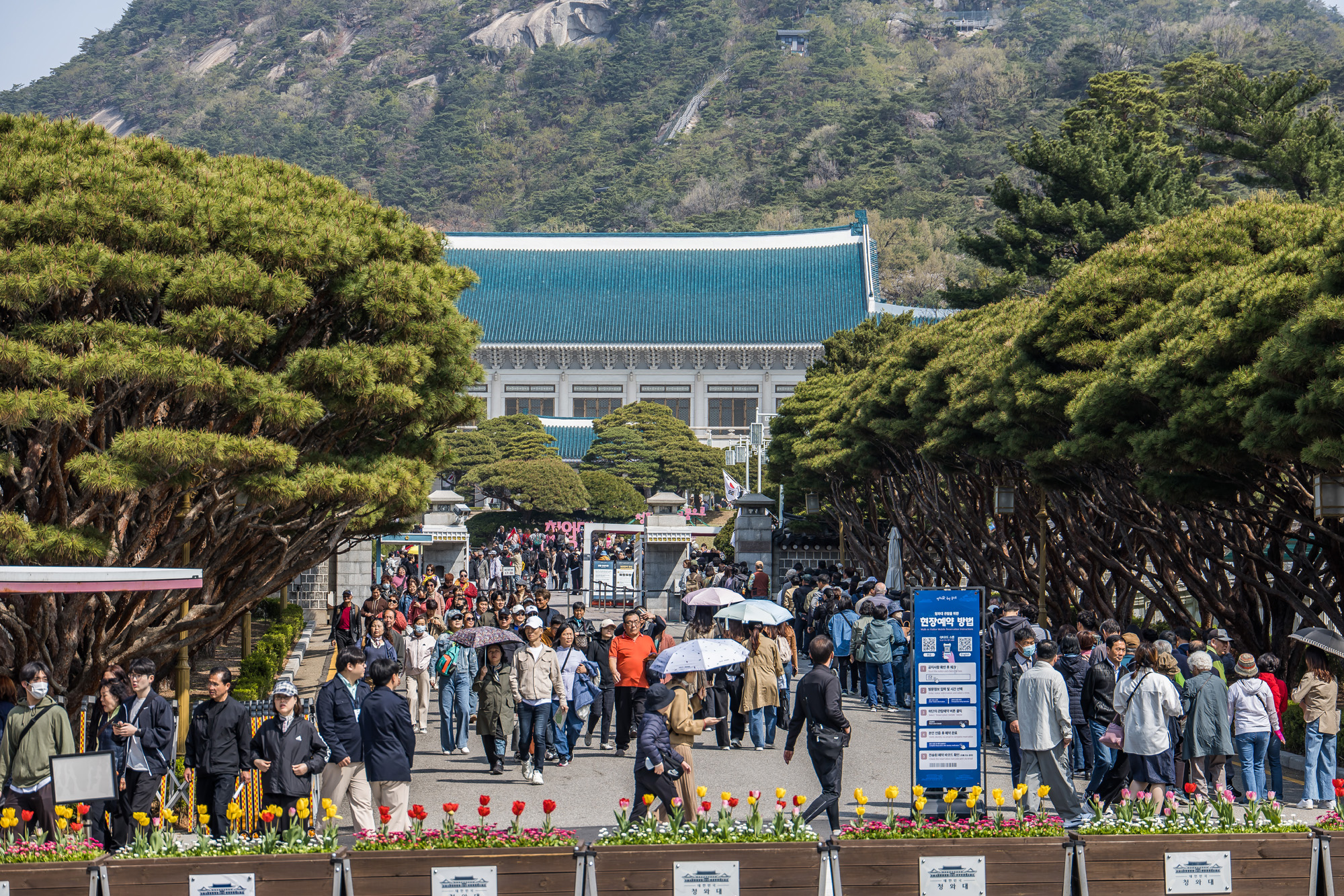 사회;정부;청와대;대통령관저;차기대통령청와대;청와대관람객;청와대관광;청와대개방