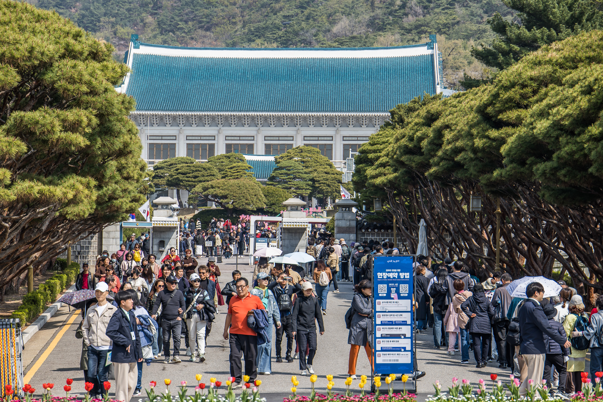 사회;정부;청와대;대통령관저;차기대통령청와대;청와대관람객;청와대관광;청와대개방