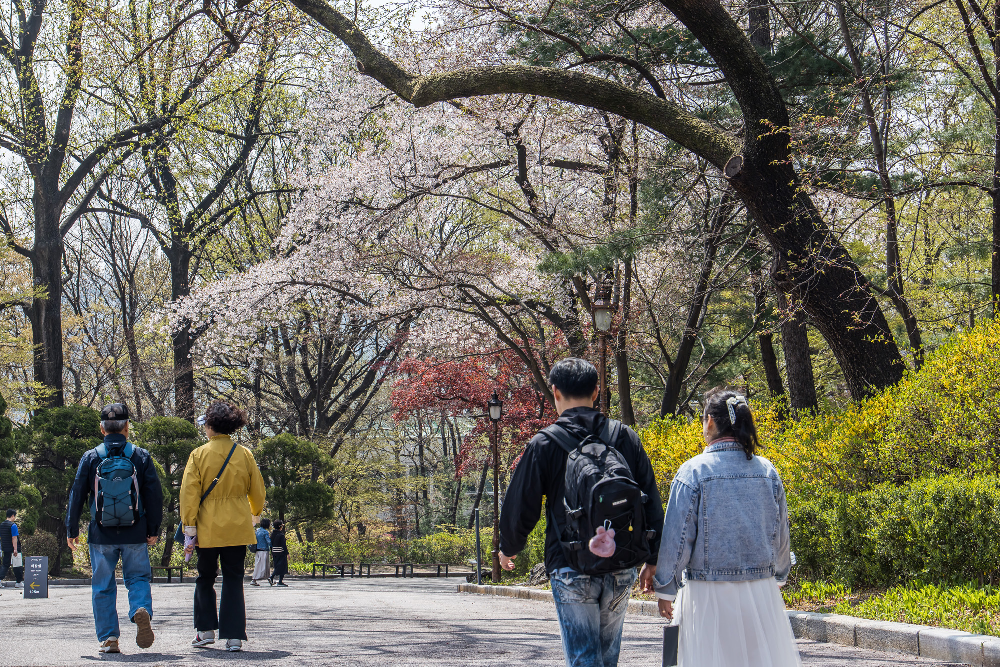 사회;정부;청와대;대통령관저;차기대통령청와대;청와대관람객;청와대관광;청와대개방