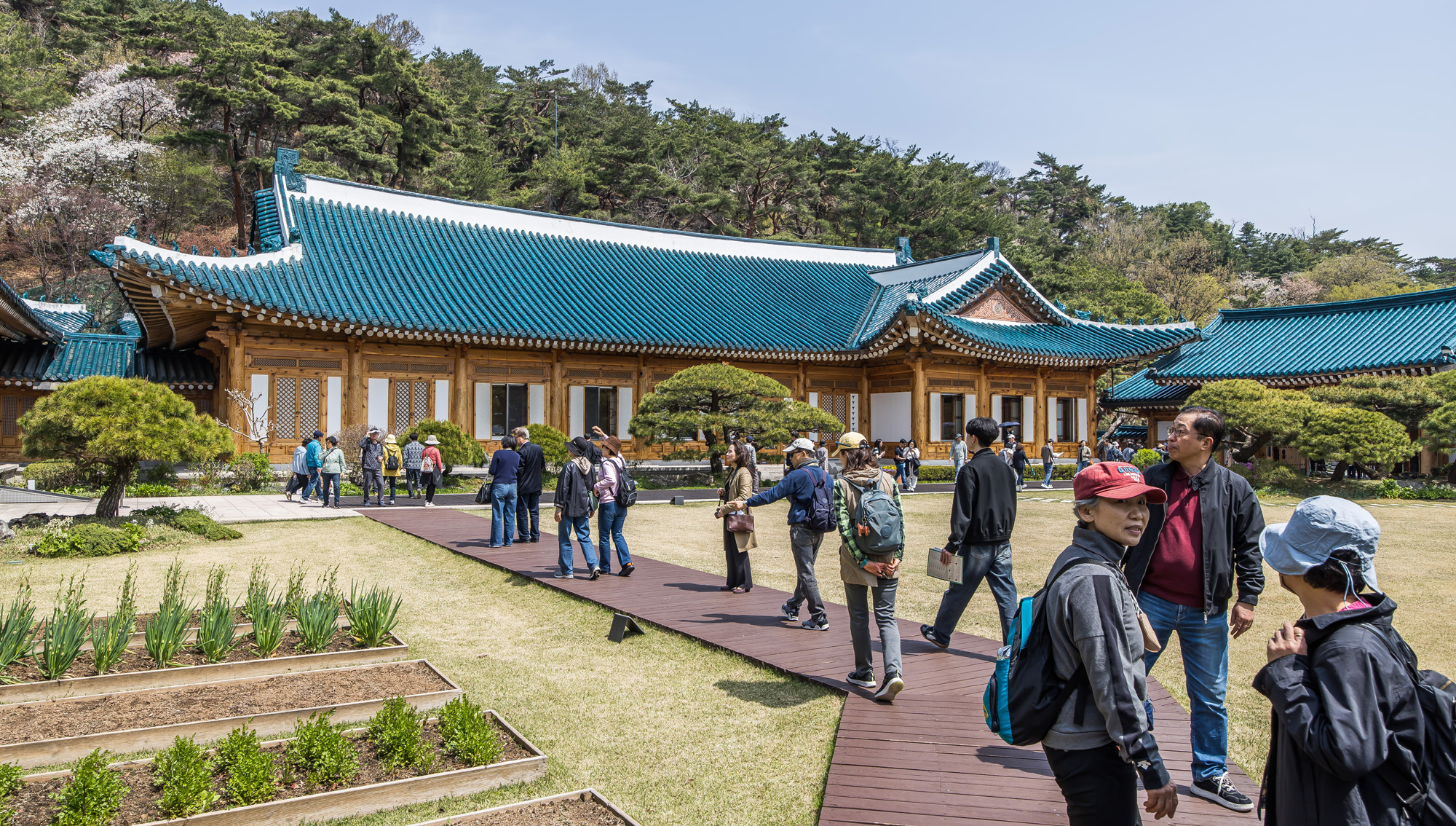 사회;정부;청와대;대통령관저;차기대통령청와대;청와대관람객;청와대관광;청와대개방