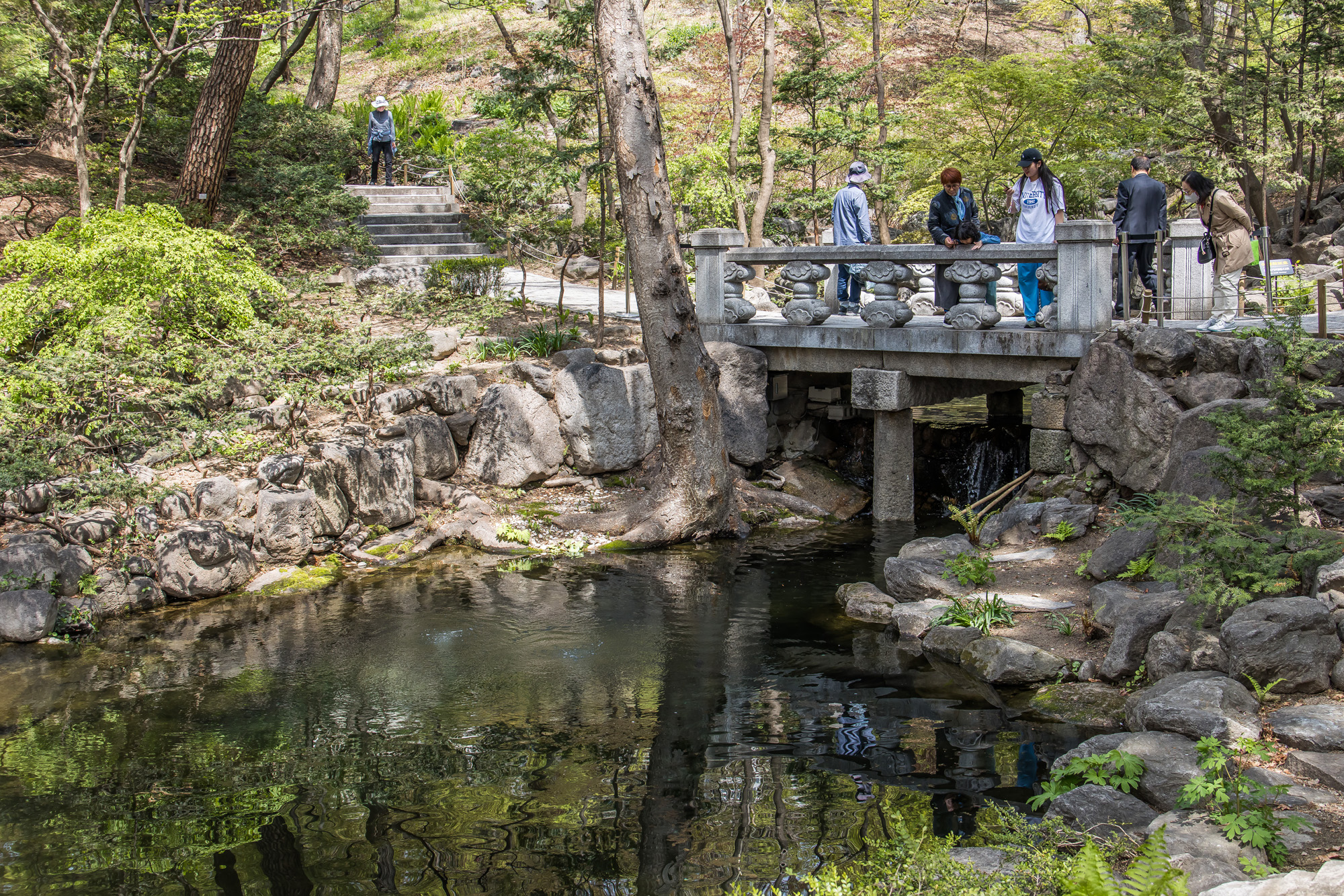 사회;정부;청와대;대통령관저;차기대통령청와대;청와대관람객;청와대관광;청와대개방