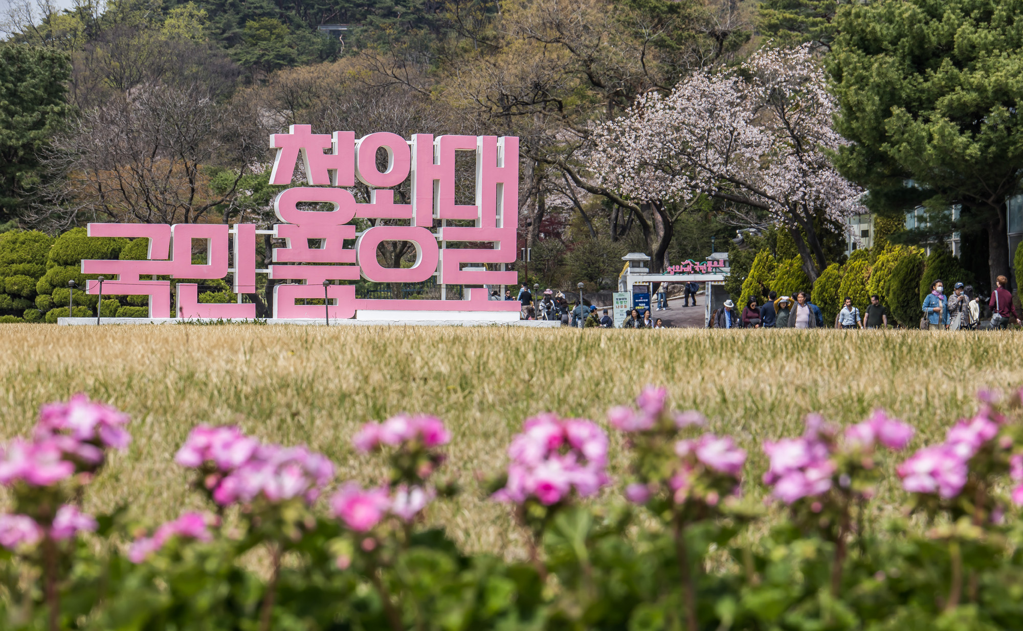 사회;정부;청와대;대통령관저;차기대통령청와대;청와대관람객;청와대관광;청와대개방