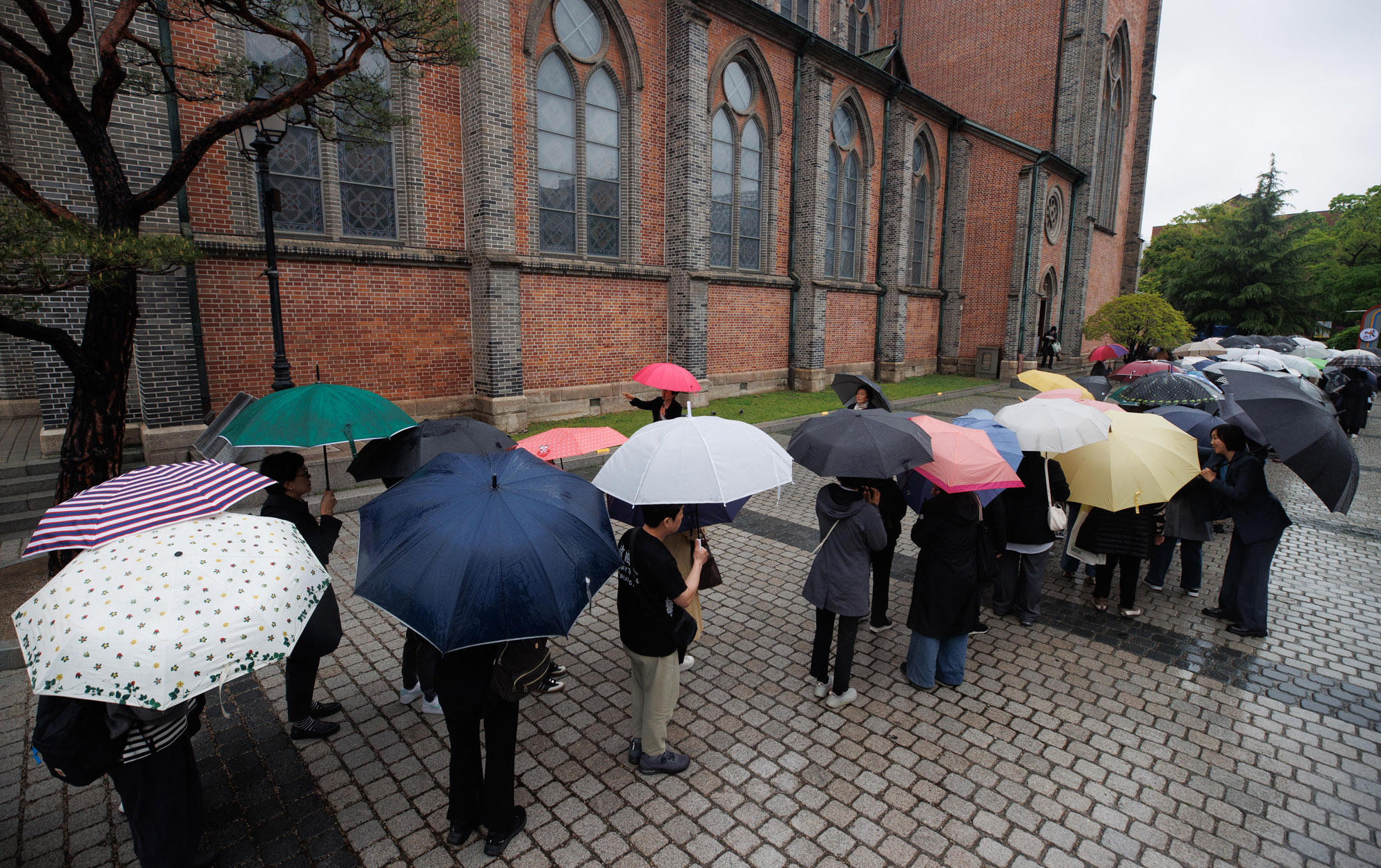 프란치스코교황;프란치스코교황명동성당;교황선종