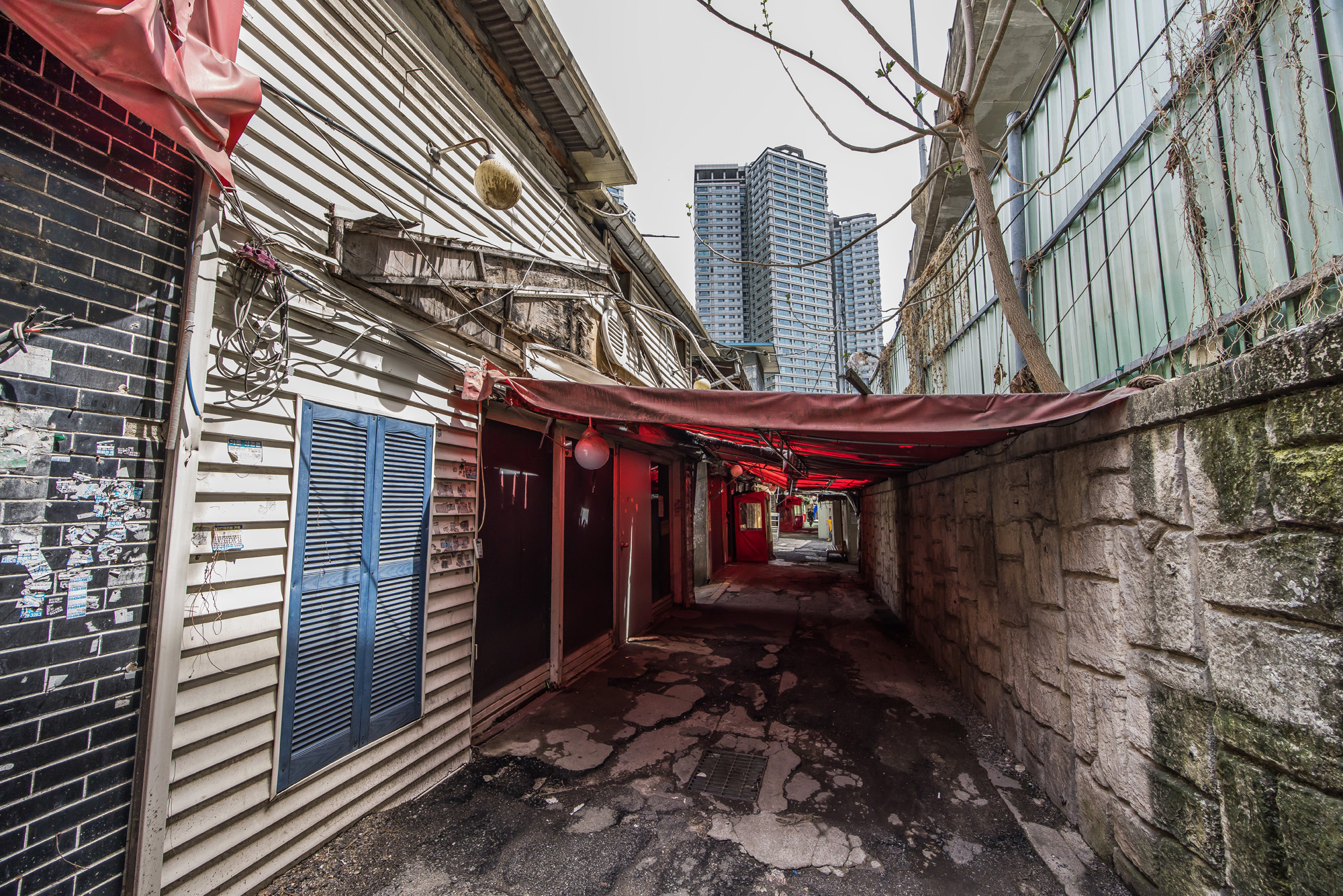 사회;세태;성매매;성매매집결지;미아리텍사스촌;미아리집창촌;성매매업소;성북구하월곡동성매매업소