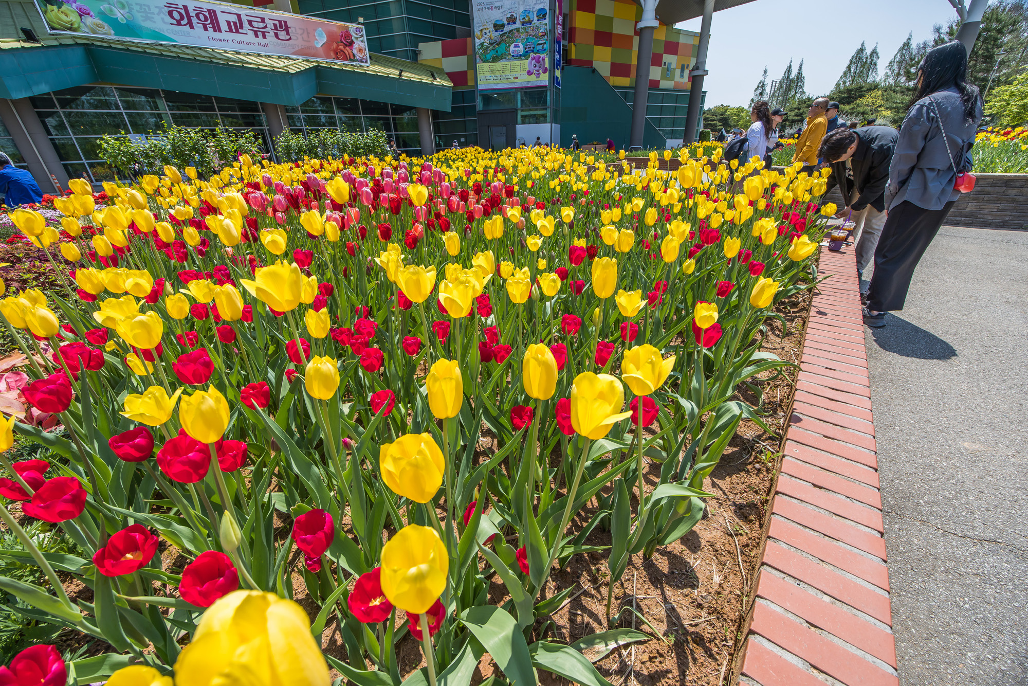 사회;꽃박람회;고양국제꽃박람회;일산호수공원;2025고양꽃박람회;꽃축제;봄축제