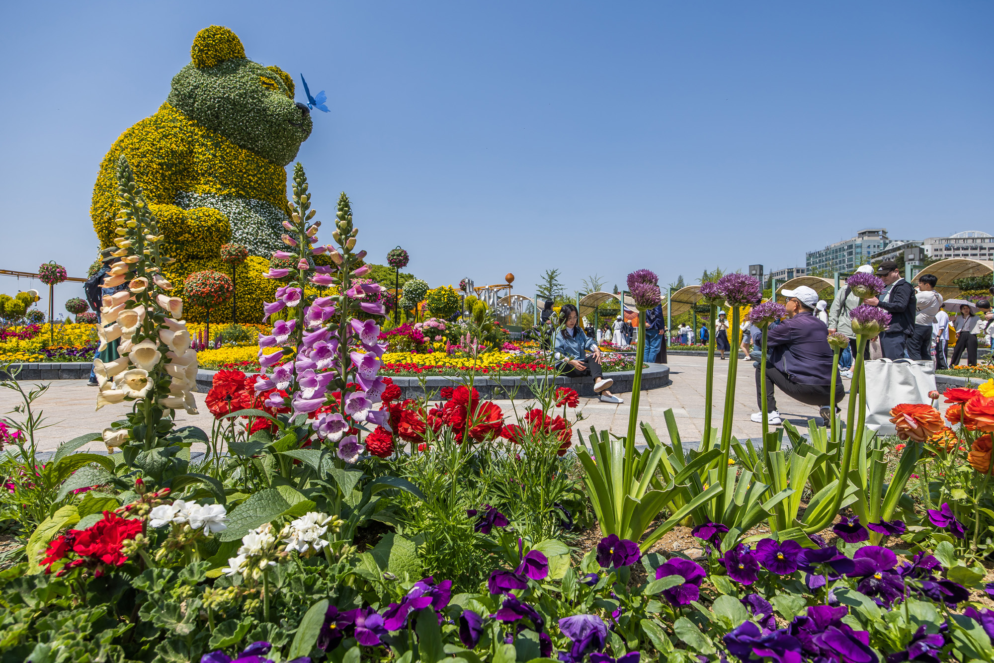 사회;꽃박람회;고양국제꽃박람회;일산호수공원;2025고양꽃박람회;꽃축제;봄축제