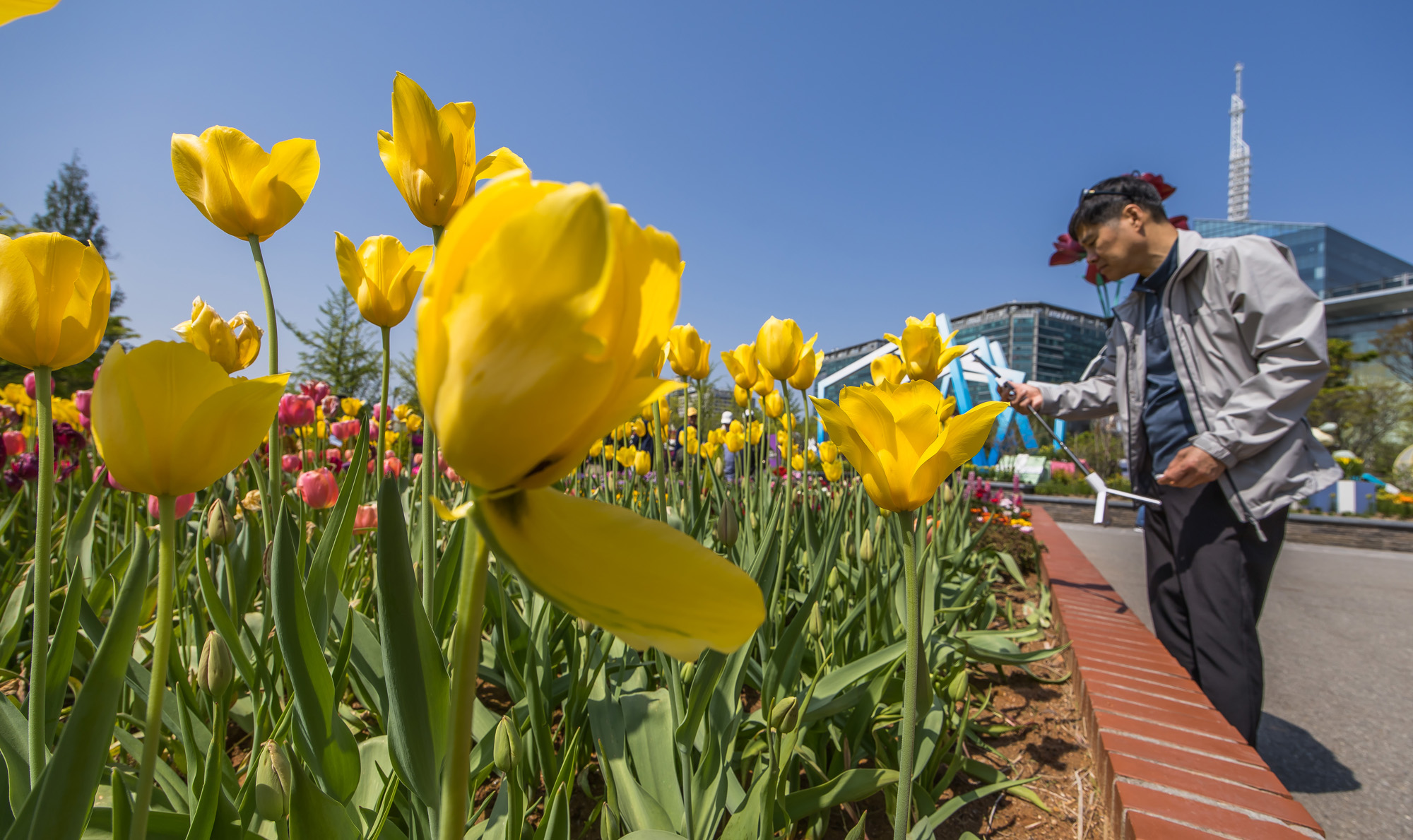사회;꽃박람회;고양국제꽃박람회;일산호수공원;2025고양꽃박람회;꽃축제;봄축제