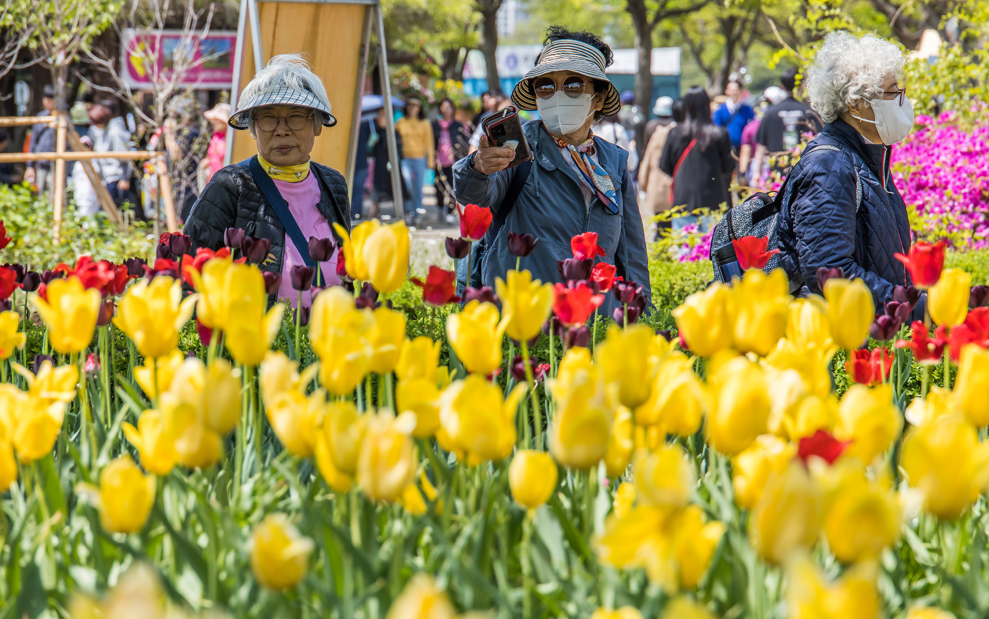 사회;꽃박람회;고양국제꽃박람회;일산호수공원;2025고양꽃박람회;꽃축제;봄축제