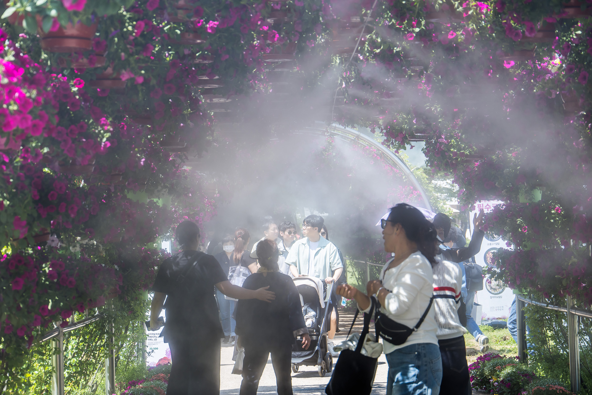 사회;꽃박람회;고양국제꽃박람회;일산호수공원;2025고양꽃박람회;꽃축제;봄축제