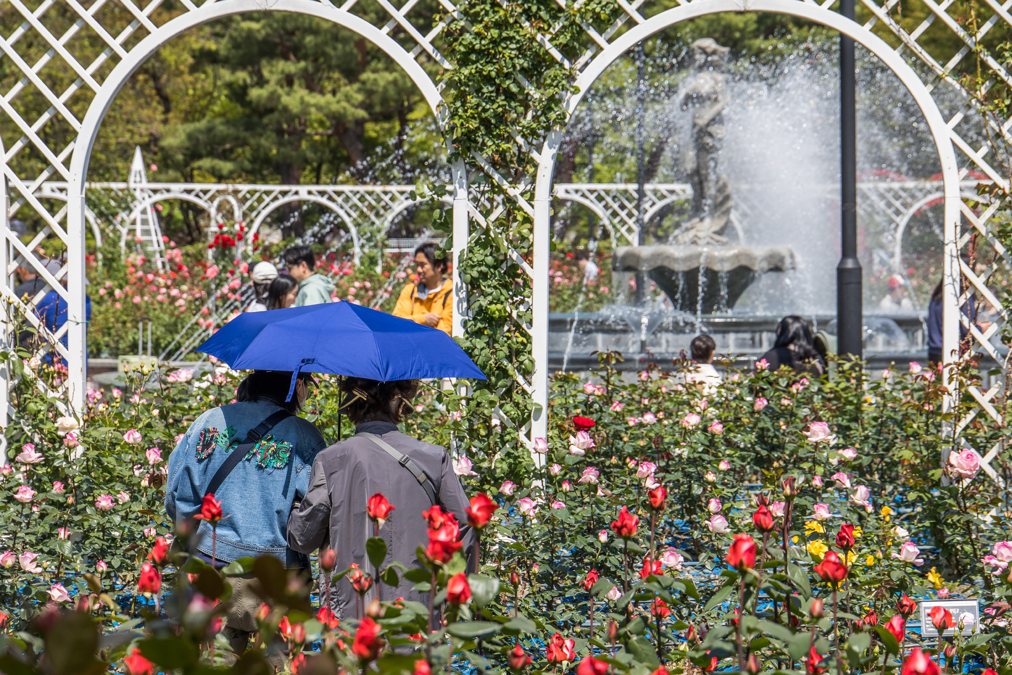 사회;꽃박람회;고양국제꽃박람회;일산호수공원;2025고양꽃박람회;꽃축제;봄축제