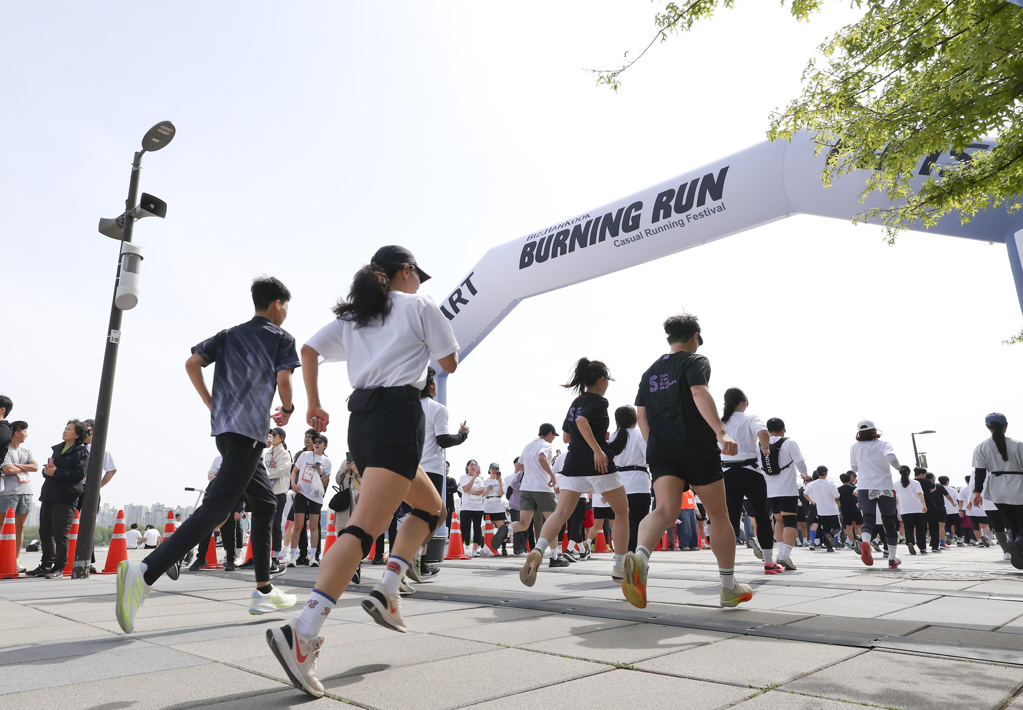 버닝런;버닝런2025;마라톤;비즈한국마라톤