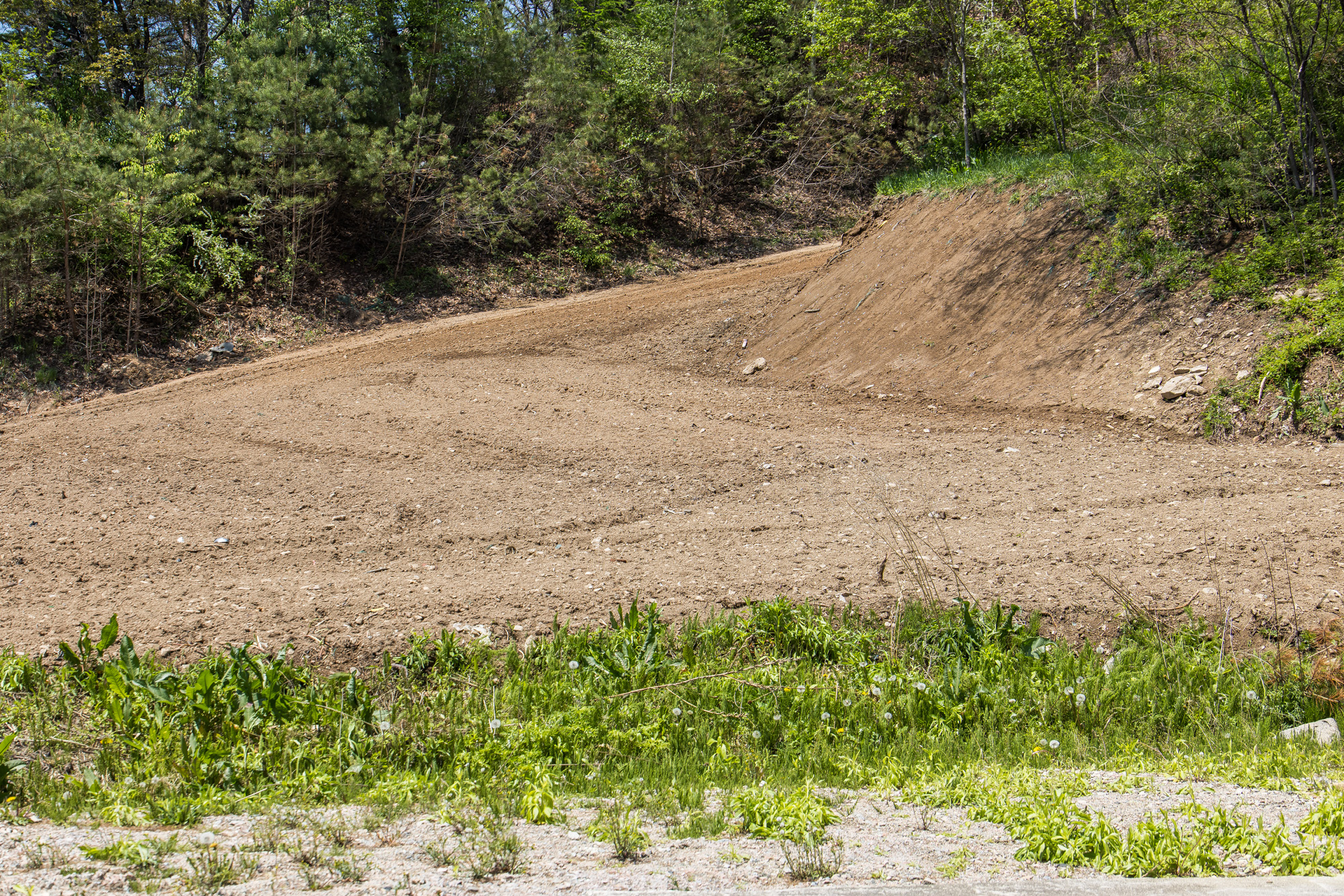 경제;기업;대기업;롯데그룹;롯데일가;롯데일가농지매입;롯데일가농지법위반;장선윤롯데호텔전무;신영자롯데장학재단이사장;롯데장재영;신영자매입토지