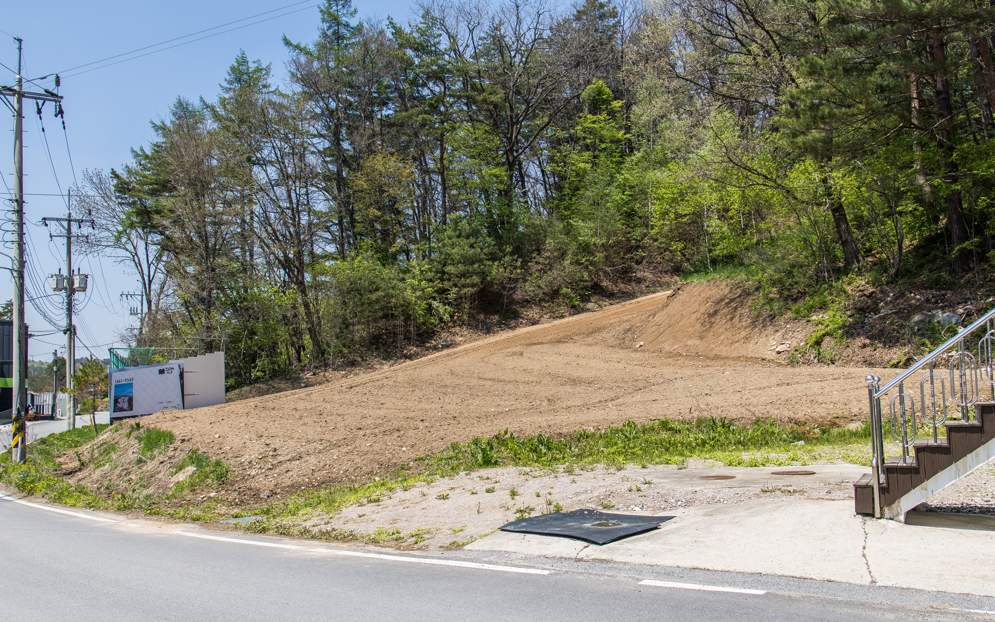 경제;기업;대기업;롯데그룹;롯데일가;롯데일가농지매입;롯데일가농지법위반;장선윤롯데호텔전무;신영자롯데장학재단이사장;롯데장재영;신영자매입토지