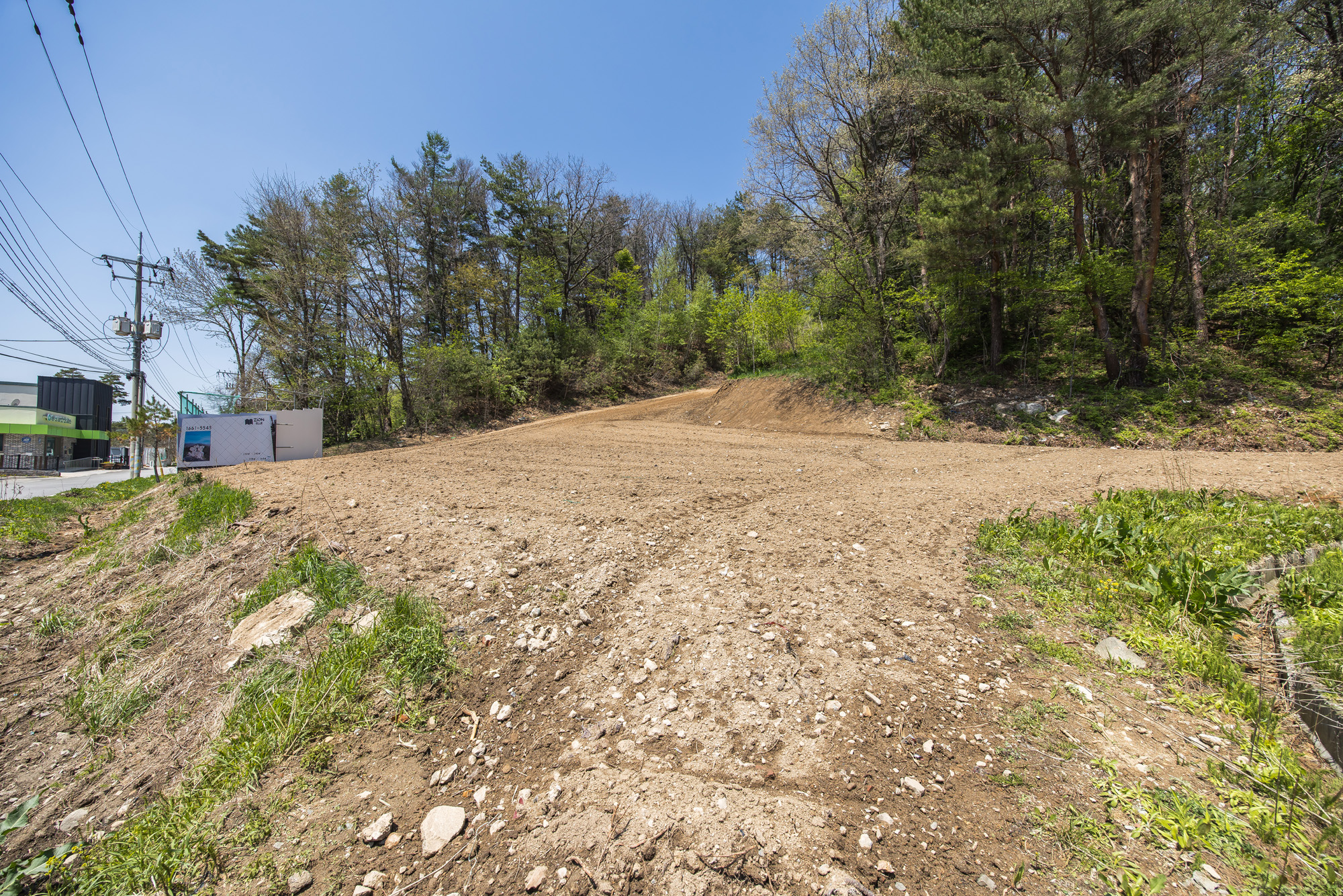 경제;기업;대기업;롯데그룹;롯데일가;롯데일가농지매입;롯데일가농지법위반;장선윤롯데호텔전무;신영자롯데장학재단이사장;롯데장재영;신영자매입토지