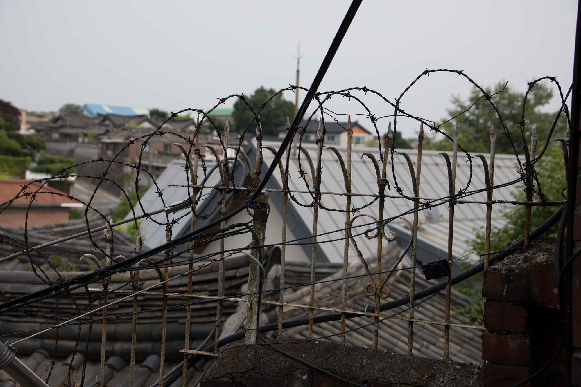 연예;가수;블랙핑크;리사;집;우먼센스
