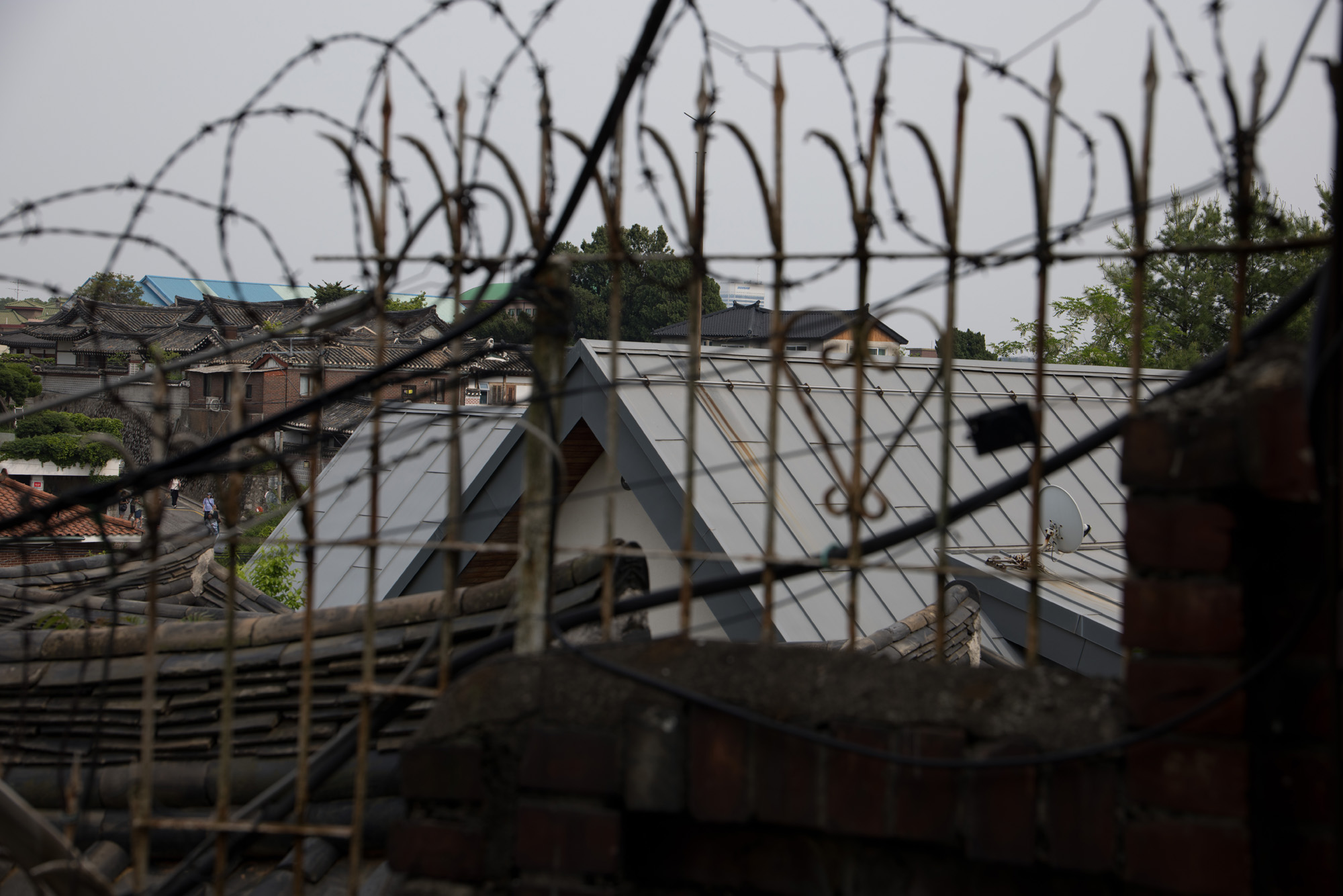 연예;가수;블랙핑크;리사;집;우먼센스