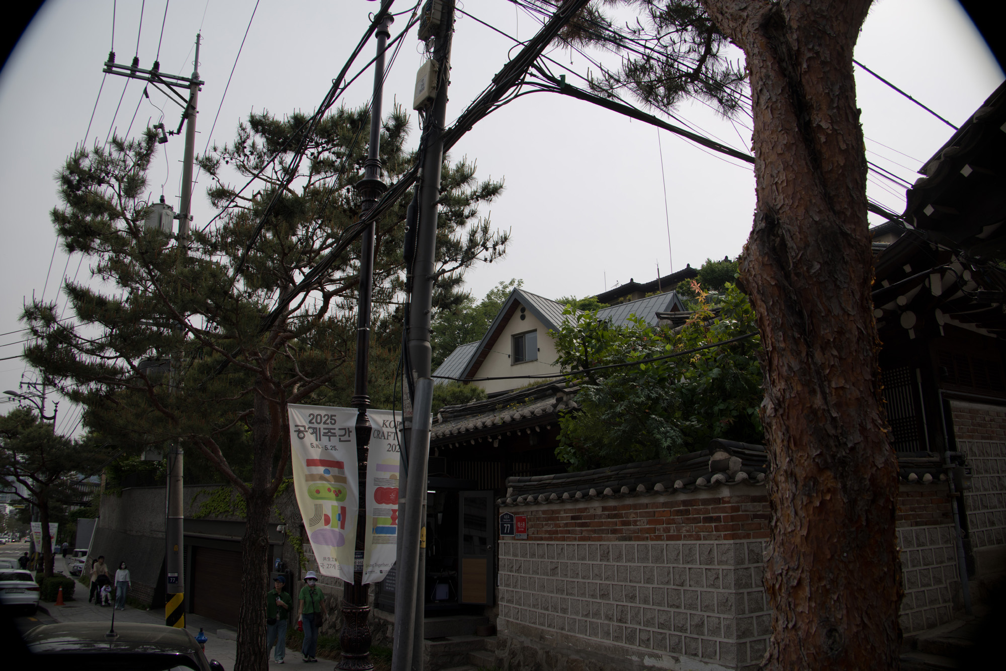 연예;가수;블랙핑크;리사;집;우먼센스
