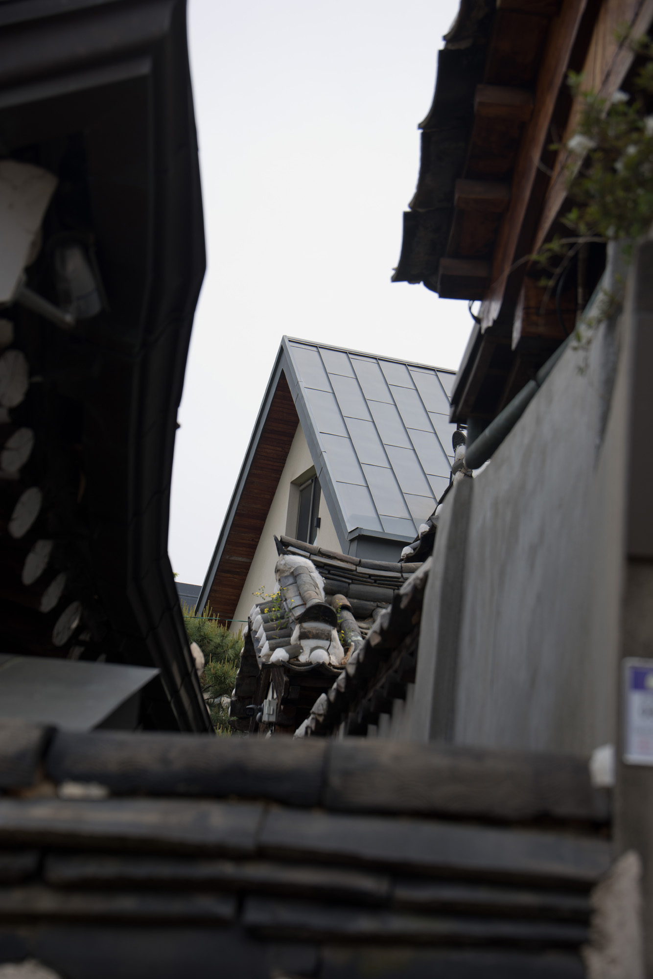 연예;가수;블랙핑크;리사;집;우먼센스