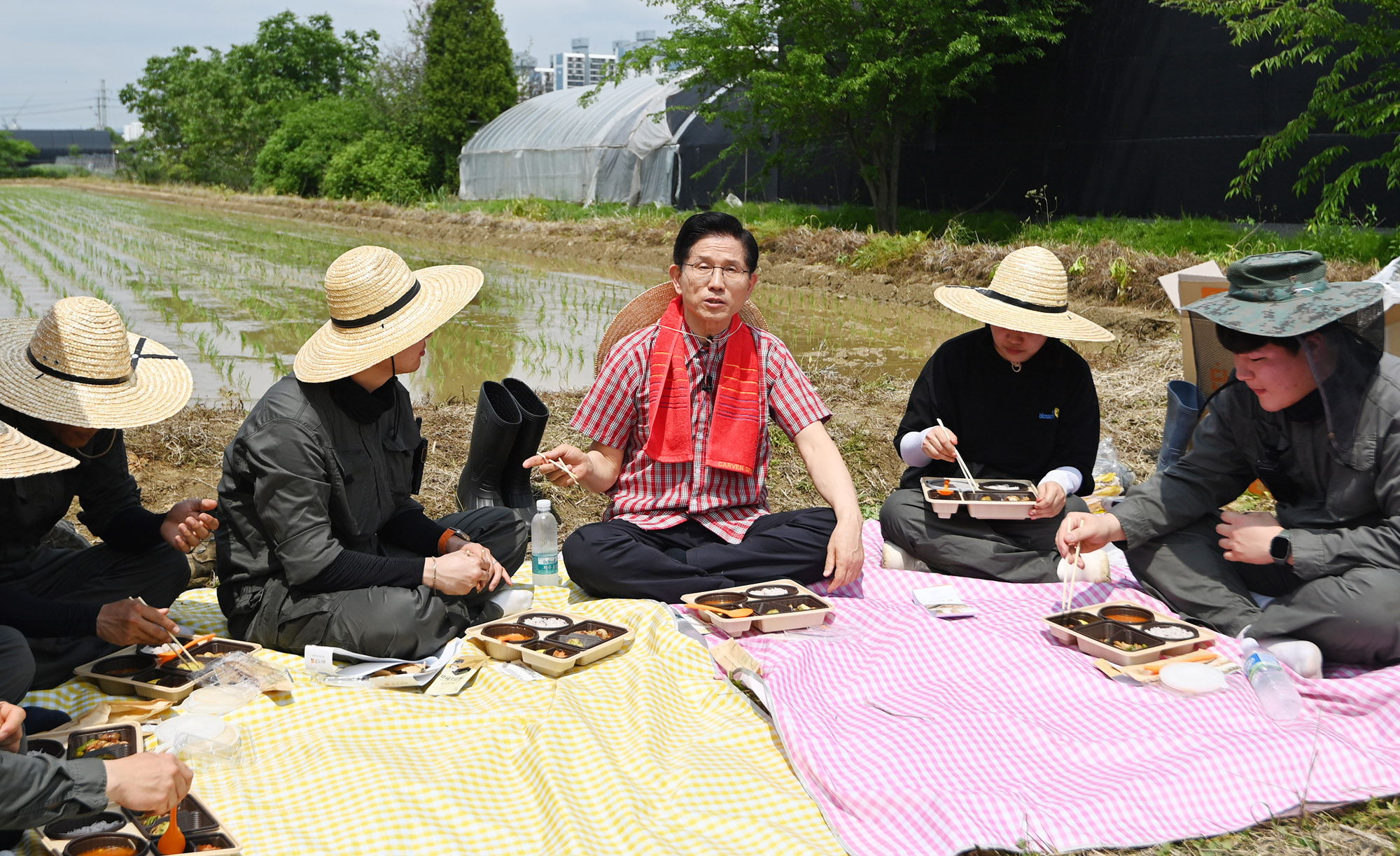 김문수;김문수모내기;김문수청년농업인