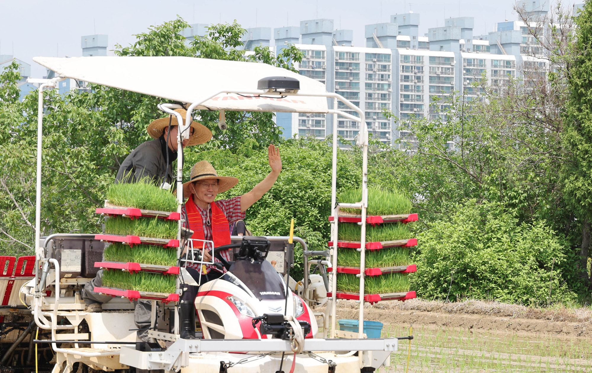 김문수;김문수모내기;김문수청년농업인