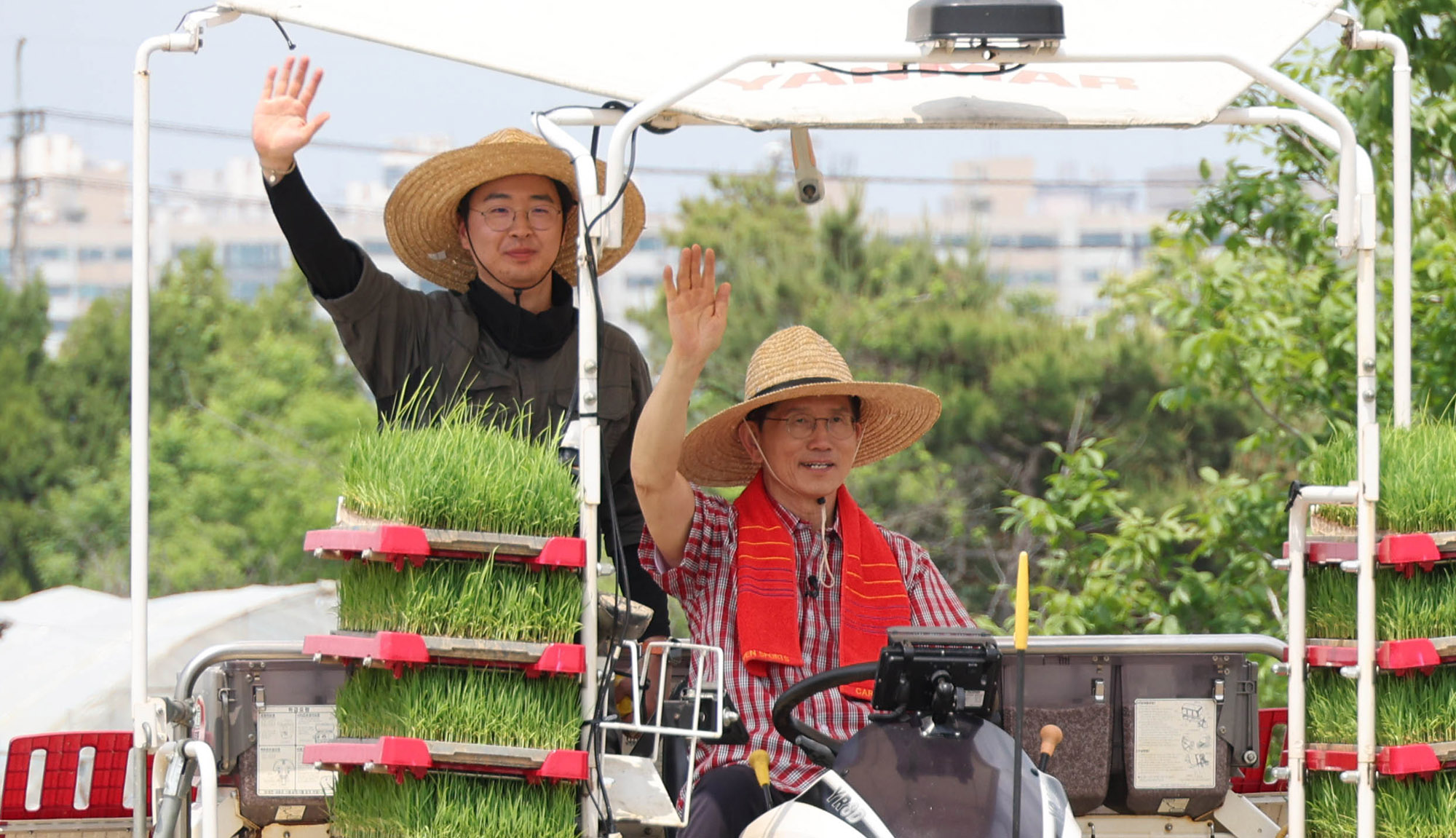 김문수;김문수모내기;김문수청년농업인