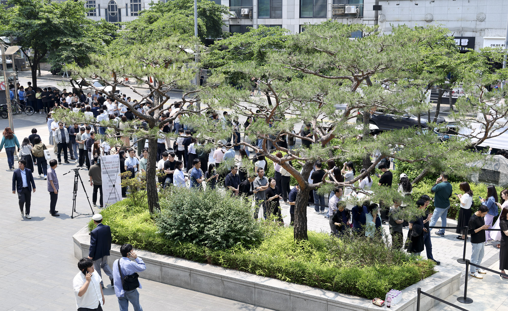 21제대통령선거;사전투표소;유권자;투표;선거;대선