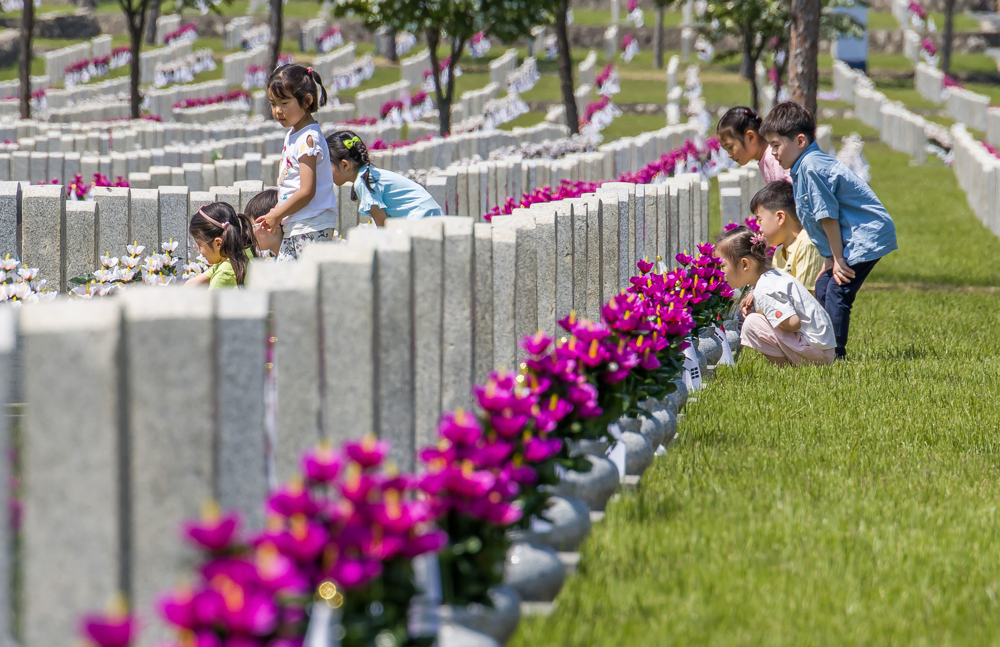 사회;역사;현충일;현충원;국립서울현충원;기념일;국가추념일