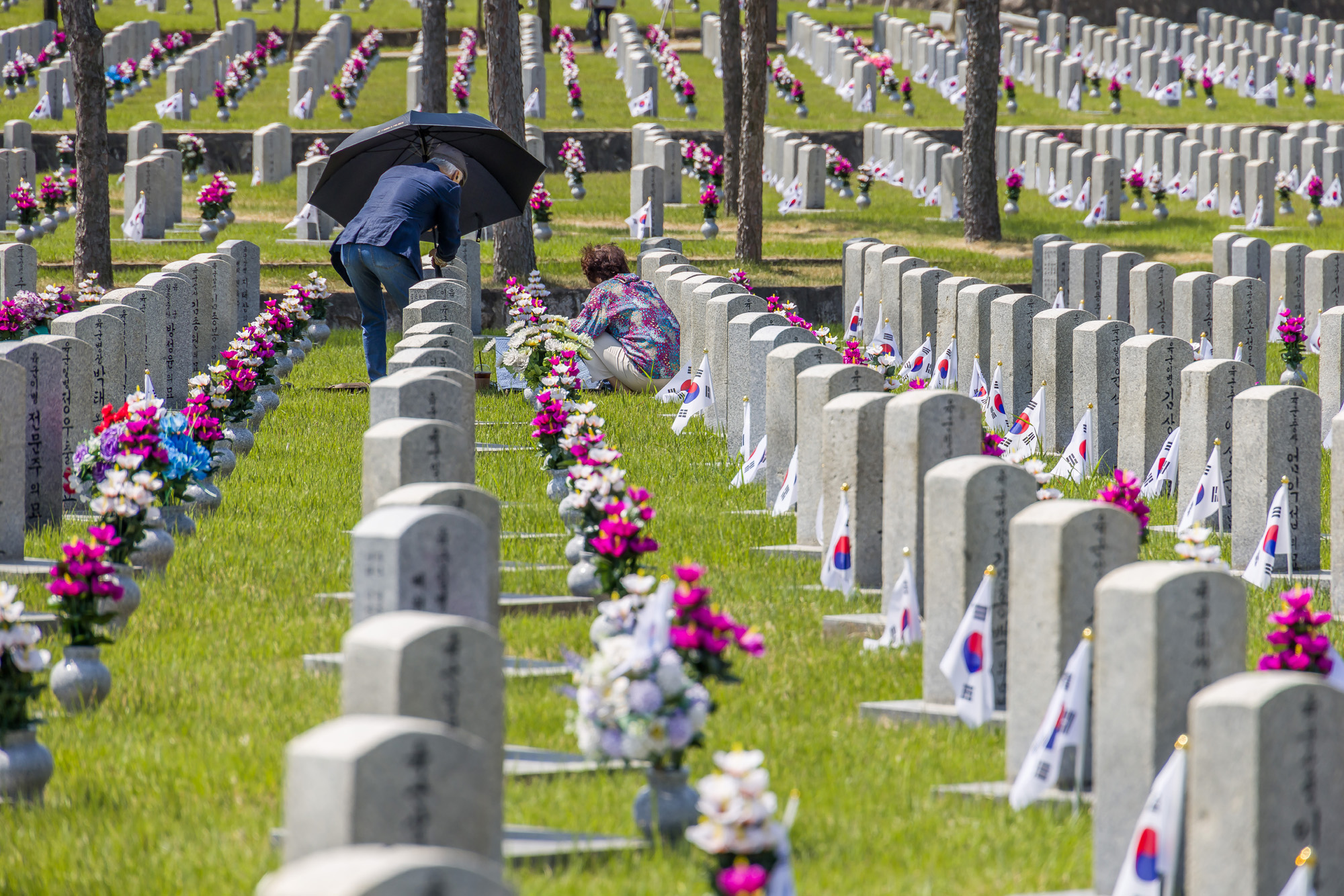 사회;역사;현충일;현충원;국립서울현충원;기념일;국가추념일