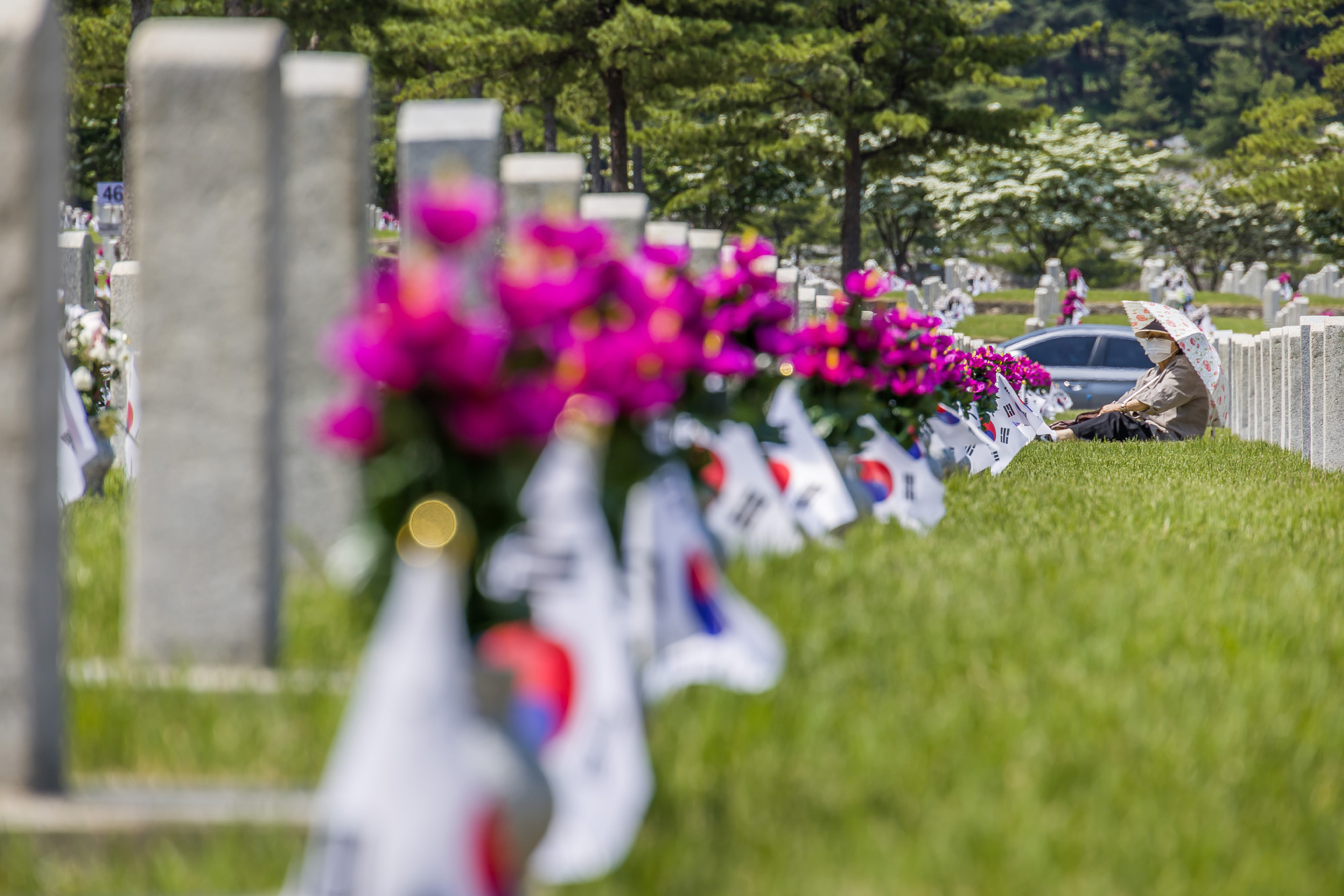 사회;역사;현충일;현충원;국립서울현충원;기념일;국가추념일