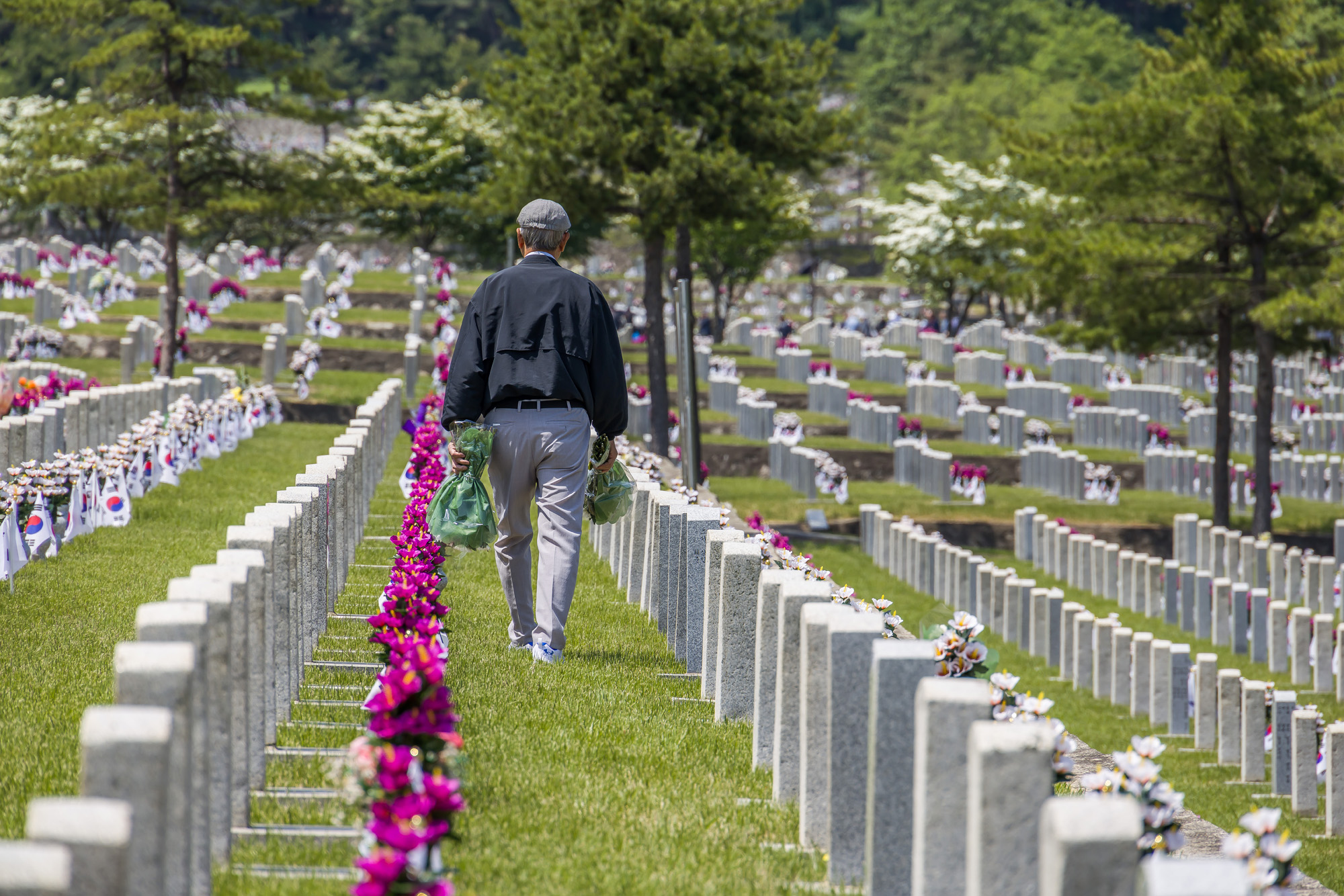 사회;역사;현충일;현충원;국립서울현충원;기념일;국가추념일