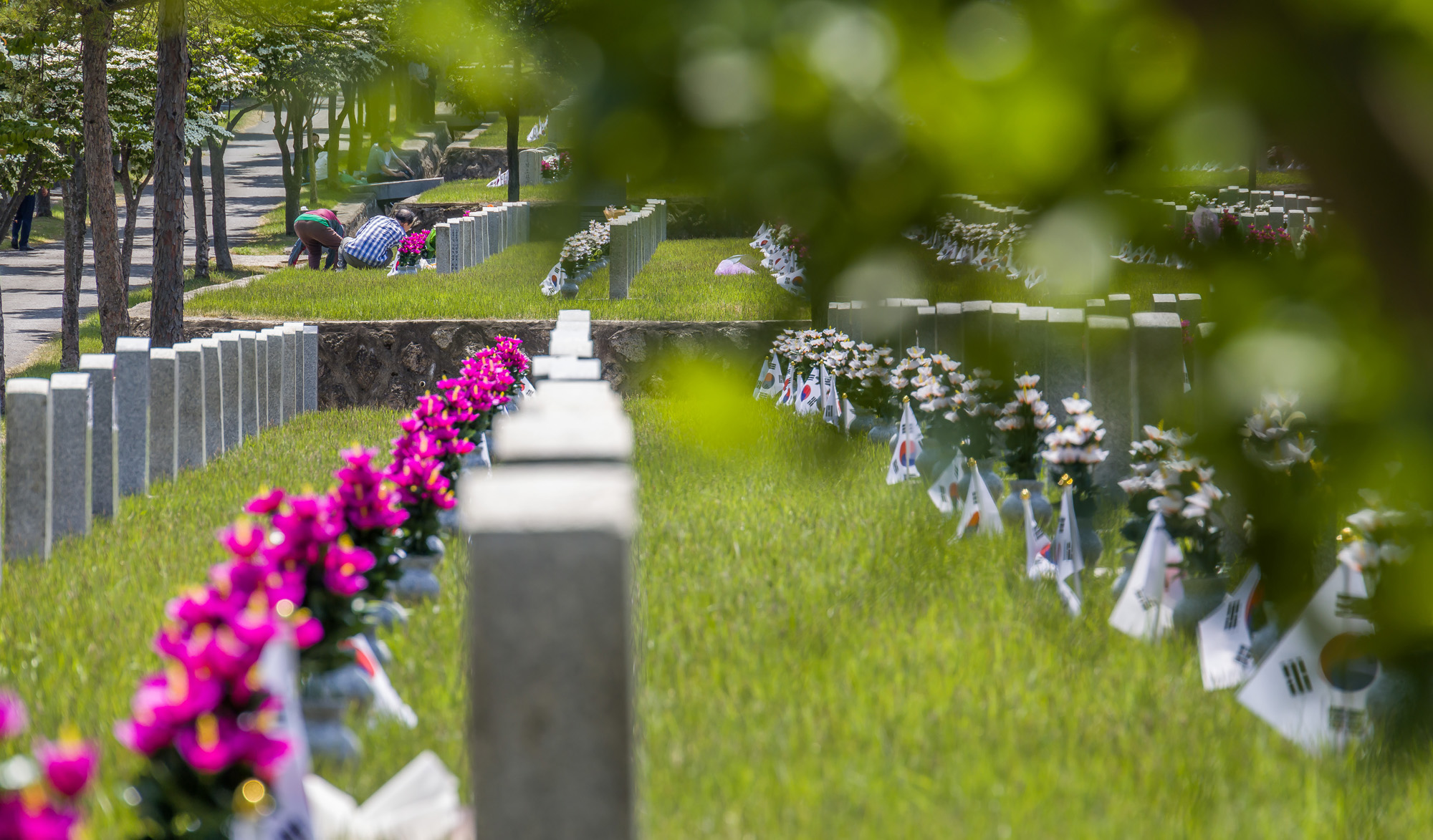 사회;역사;현충일;현충원;국립서울현충원;기념일;국가추념일