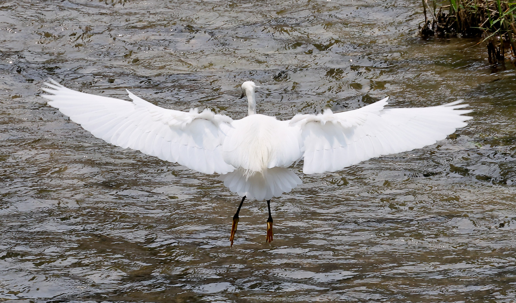 더위스케치 광화문 청계천