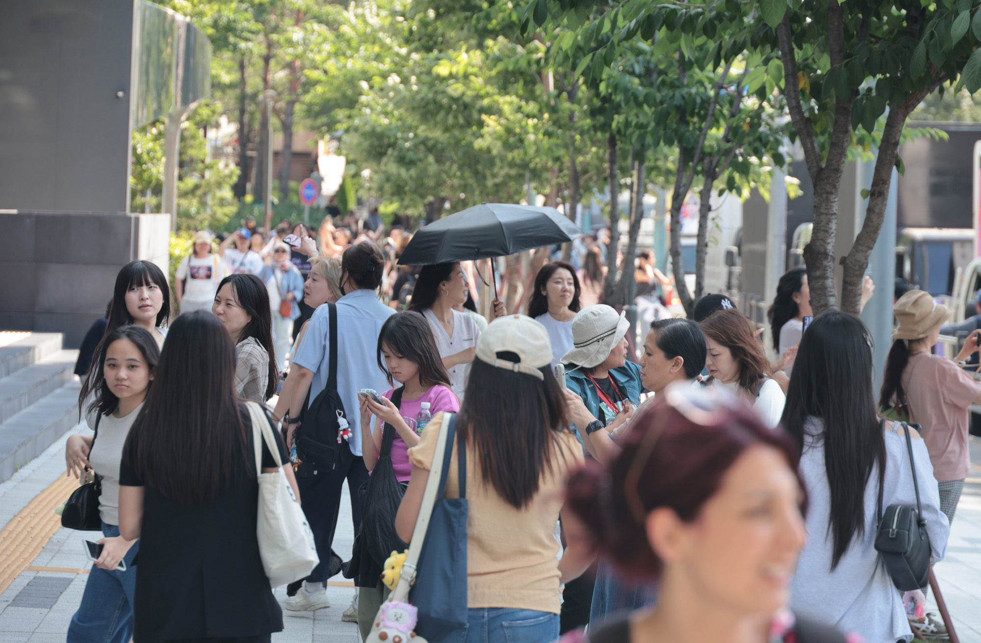 사회;세태;BTS;방탄소년단;제대