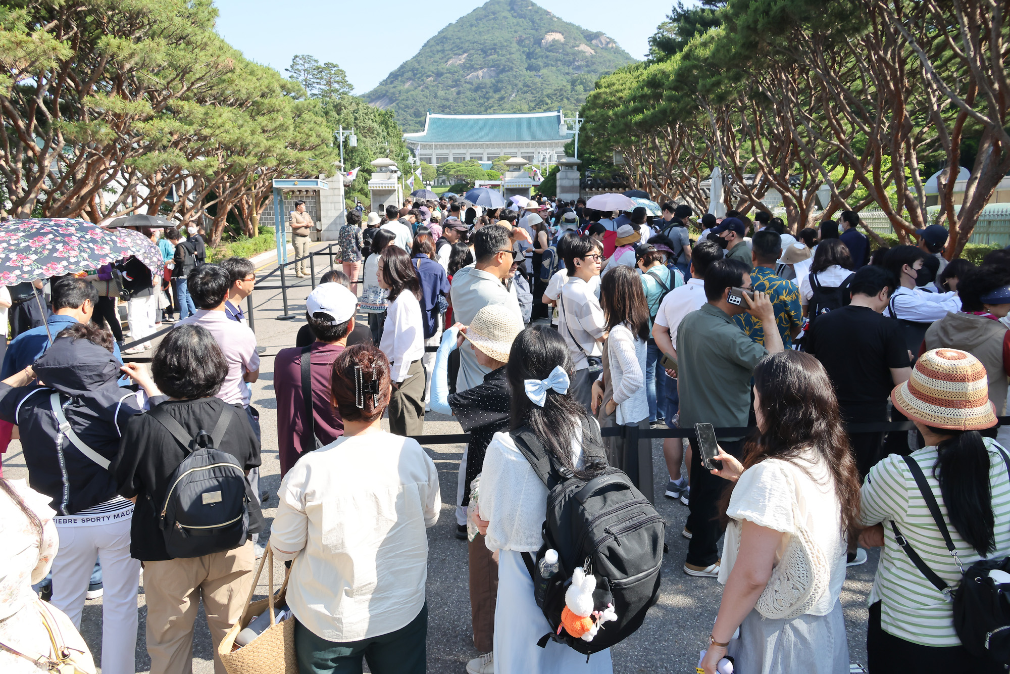 청와대;본관;관람