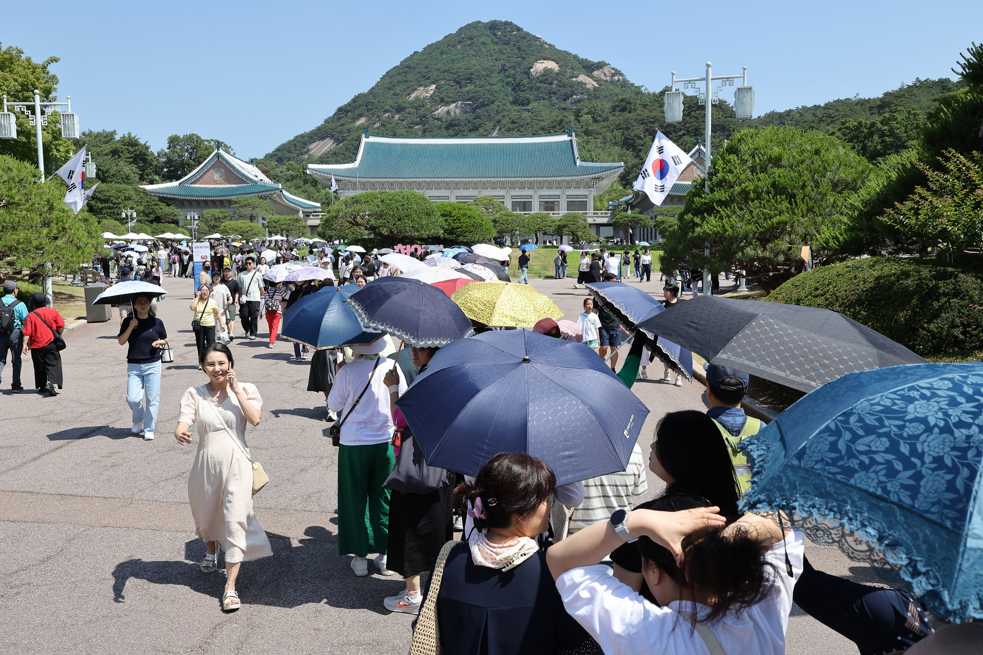 청와대;본관;관람
