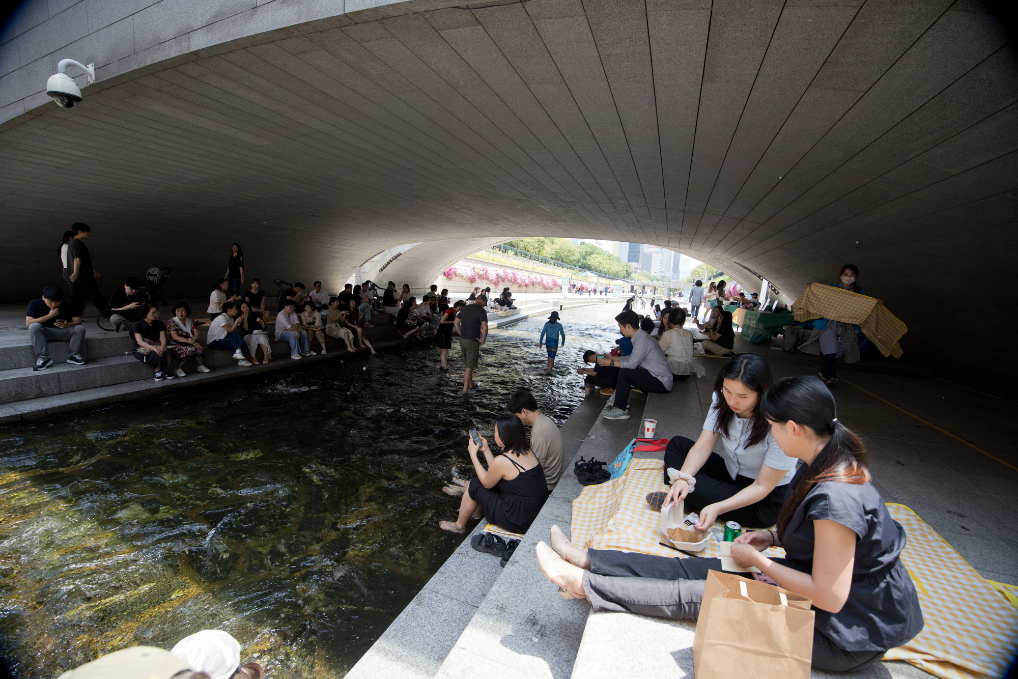 사회;세태;청계천;피서;물;첨벙