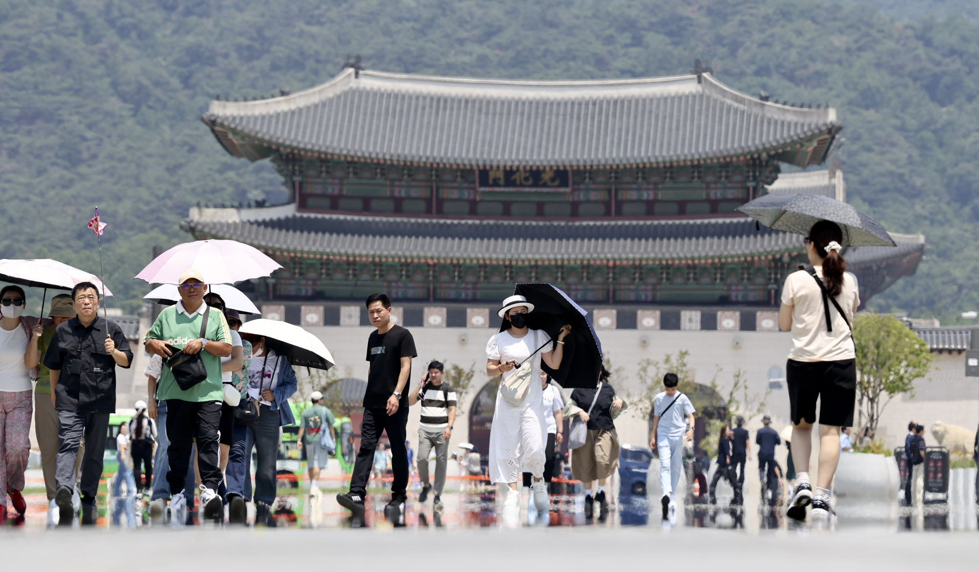 더위;폭염;날씨