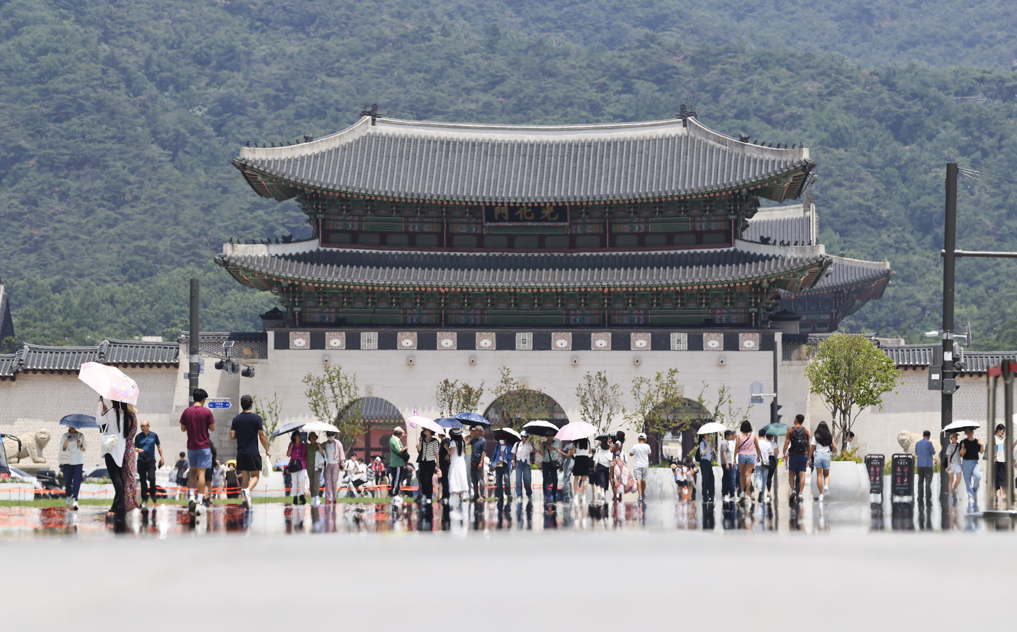 더위;폭염;날씨