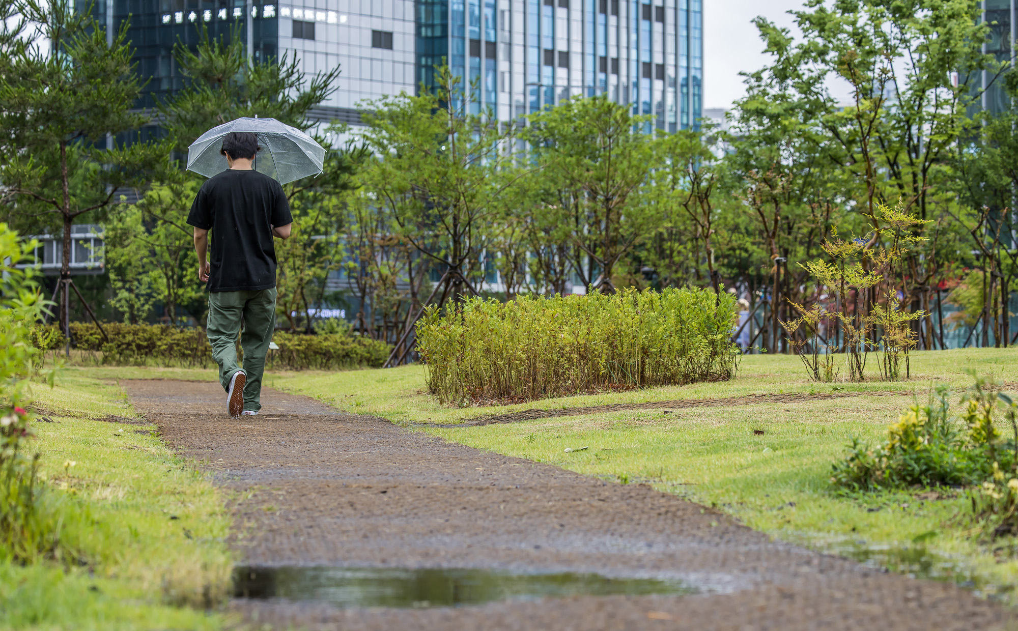 날씨;계절;계절스케치;여름스케치;장마스케치;폭우스케치;여름장마;비스케치;용산역비스케치