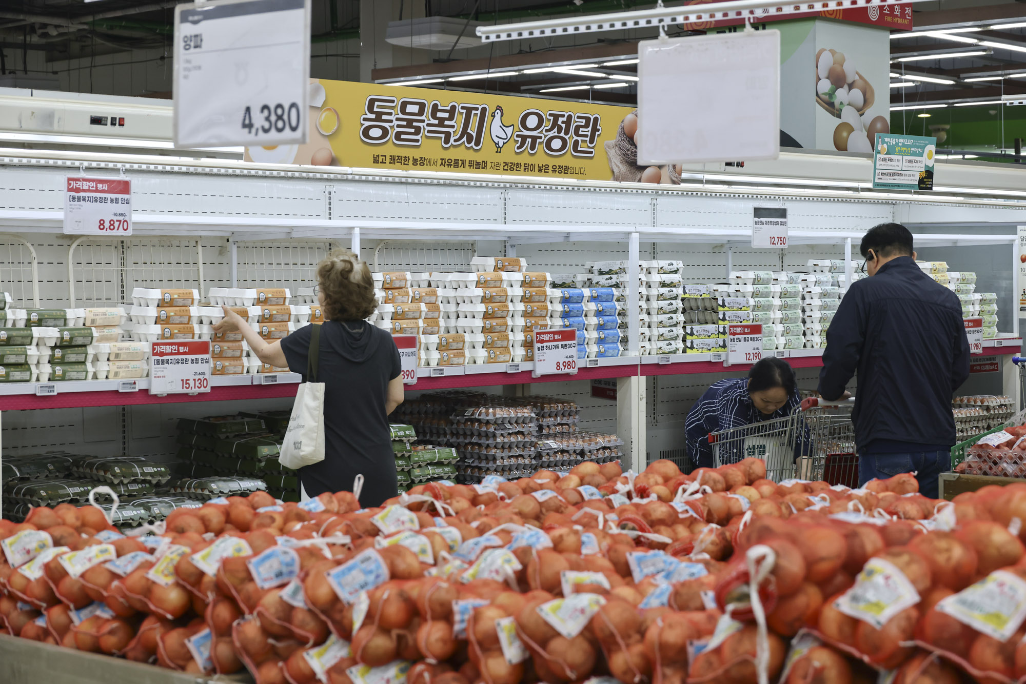 계란;달걀;물가