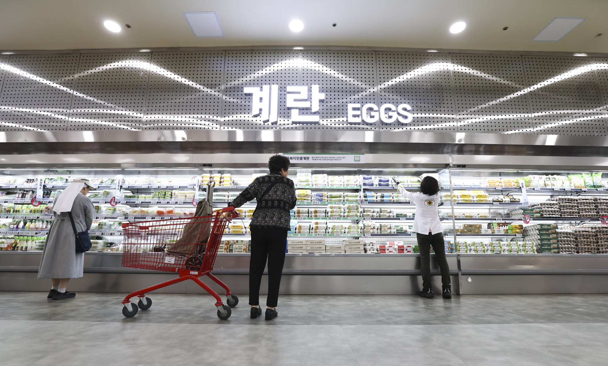 롯데마트;물가;달걀;치킨;계란