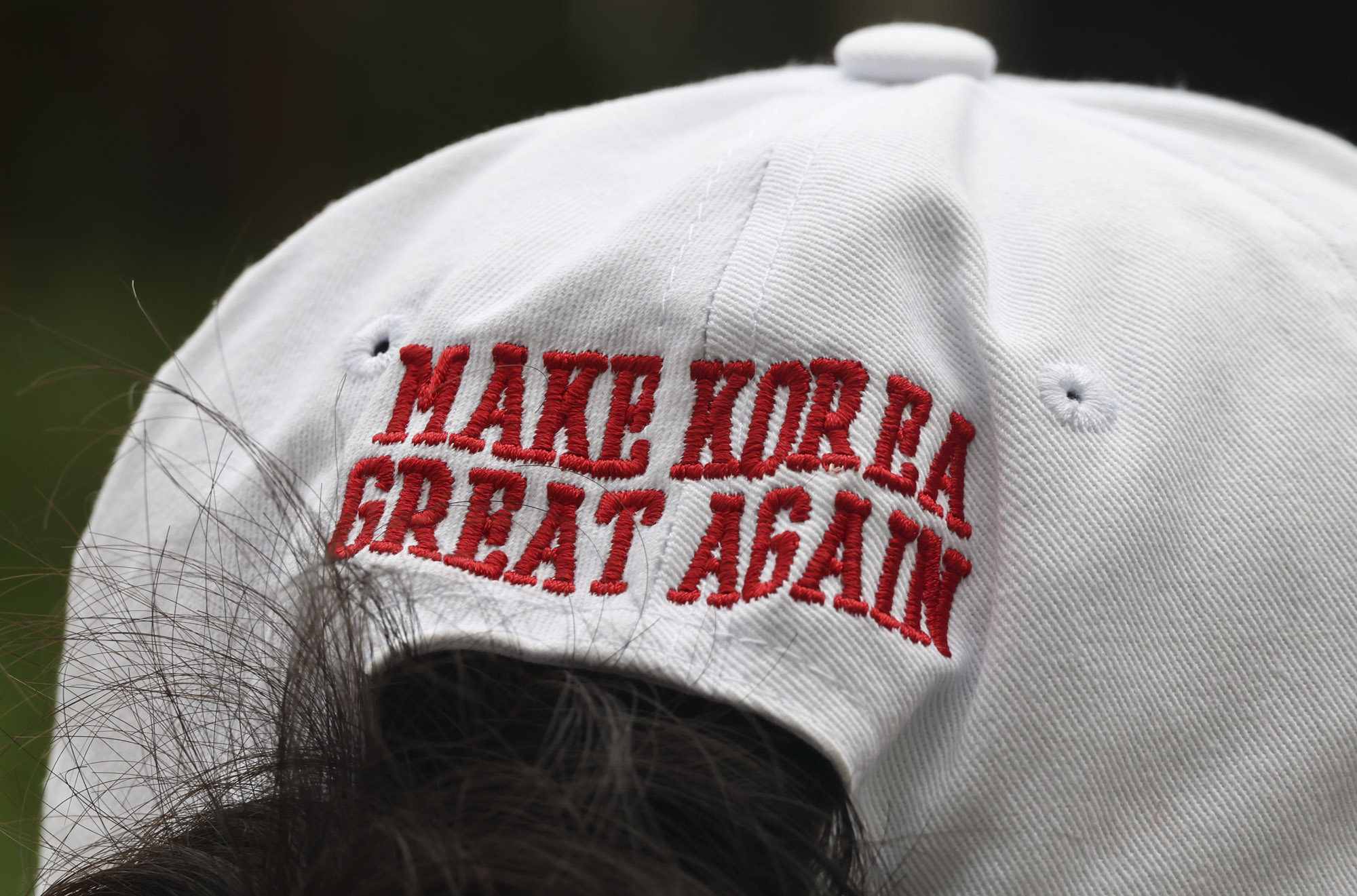 윤석열지지자;윤석열;윤어게인