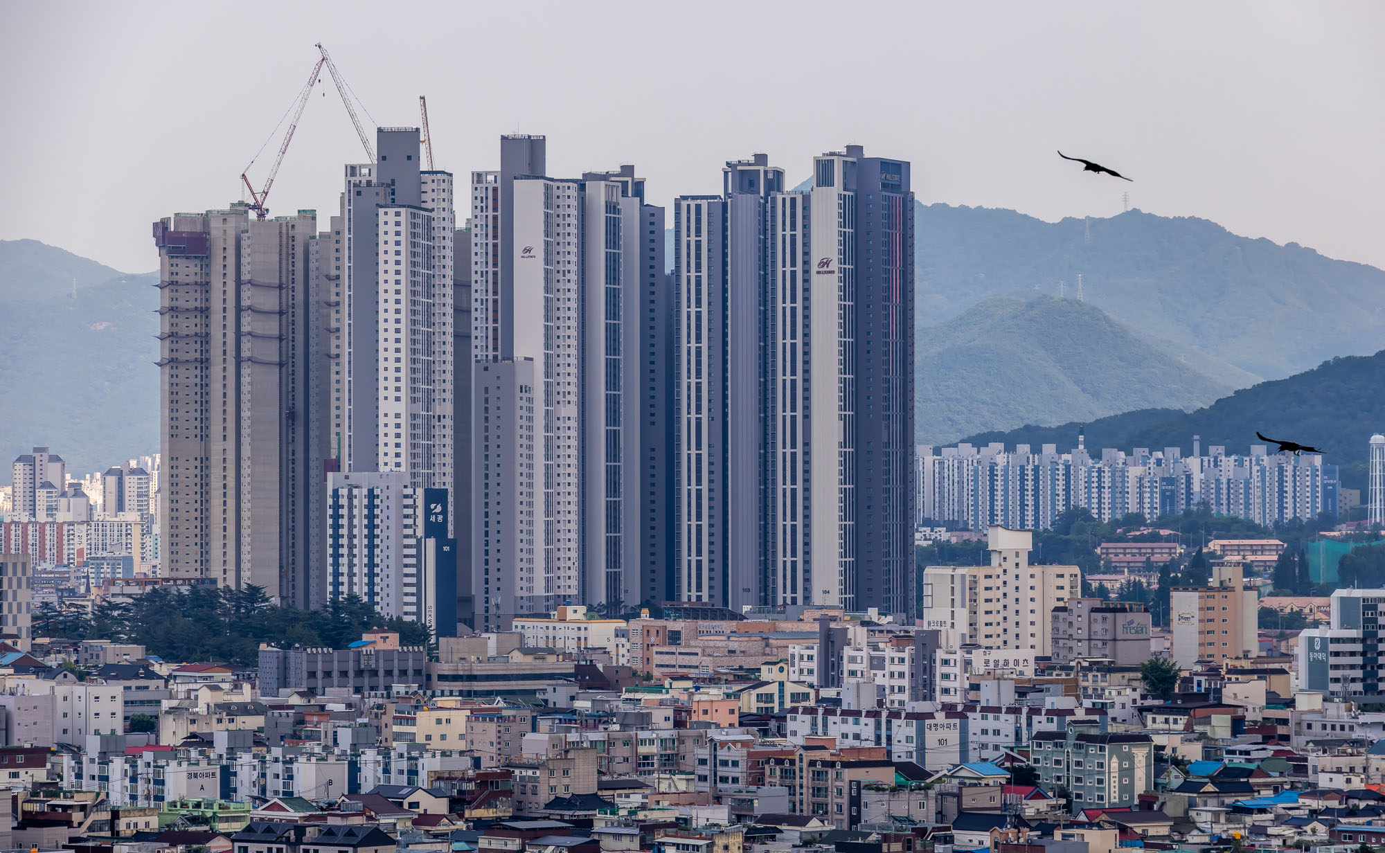 경제;부동산;부동산침체;지방소멸;대구아파트단지;대구미분양아파트;불꺼진새집
