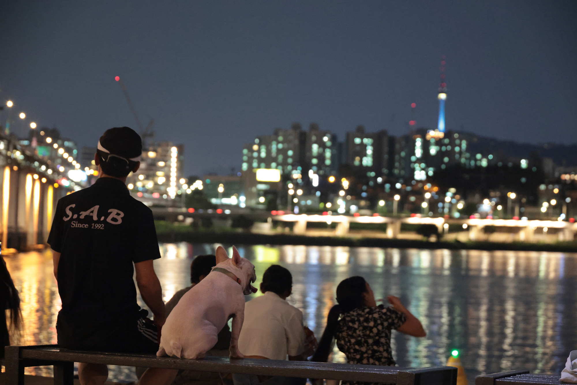 사회;반포;달빛무지개분수;무더위;폭염;열대야