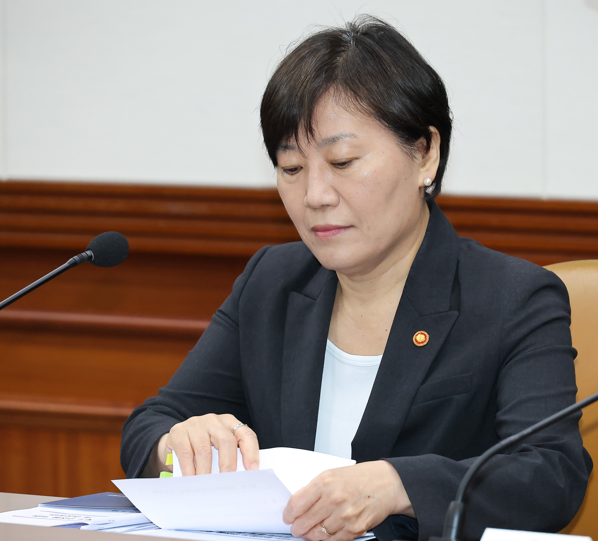 국정현안관계장관 회의 김민석