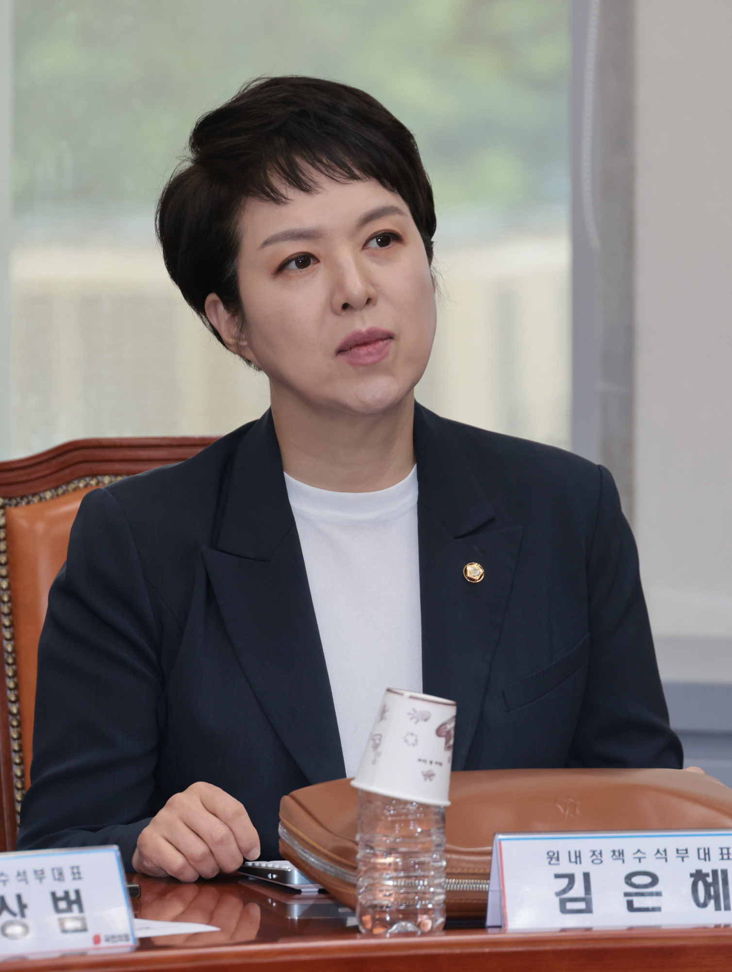 정치;국민의힘;비상대책위원회의