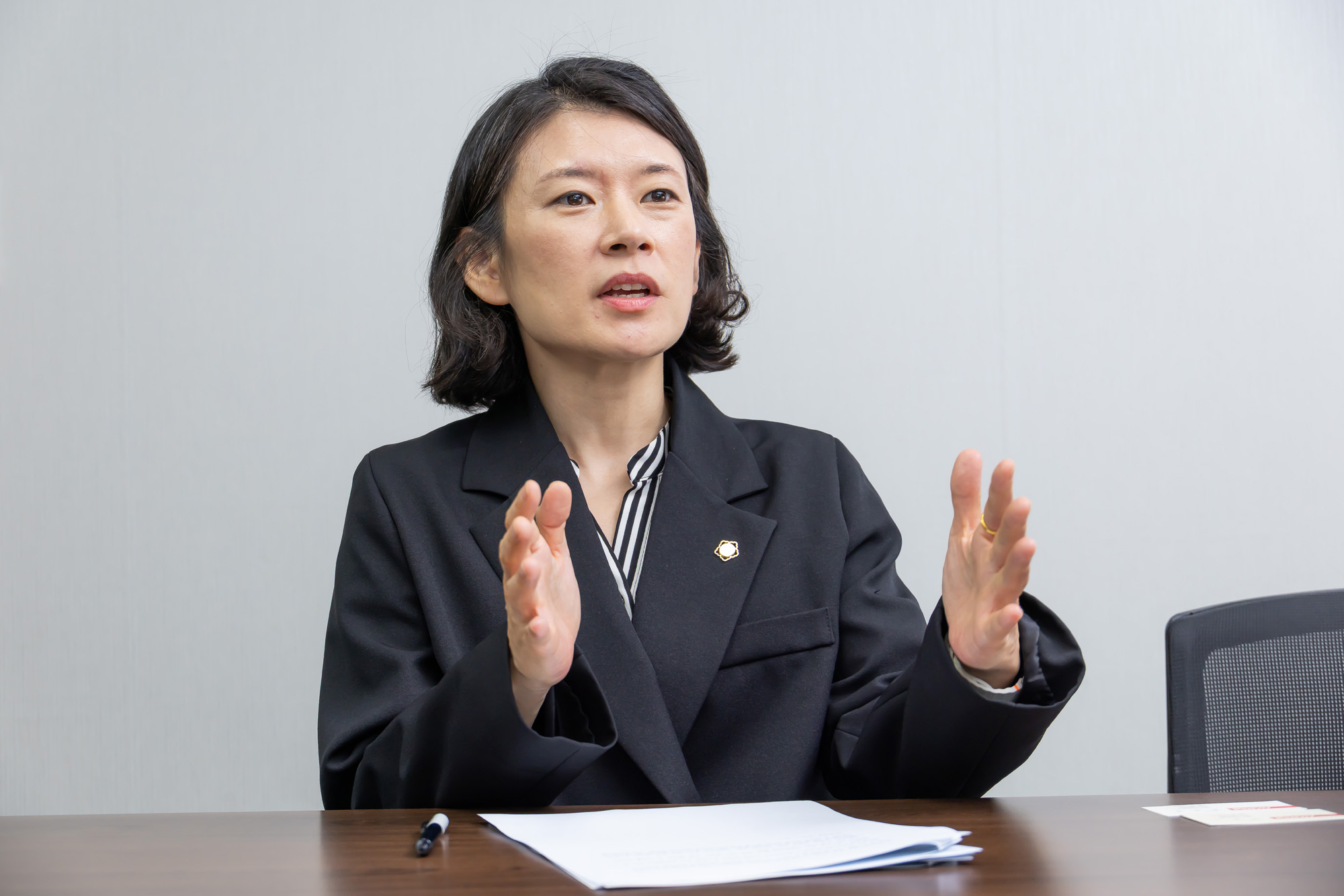 정치;정당;조국혁신당;배수진변호사;배수진조국혁신당당헌당규제개정위원장;법무법인율플러스;검찰개혁;문재인정부부동산통계조작의혹사건